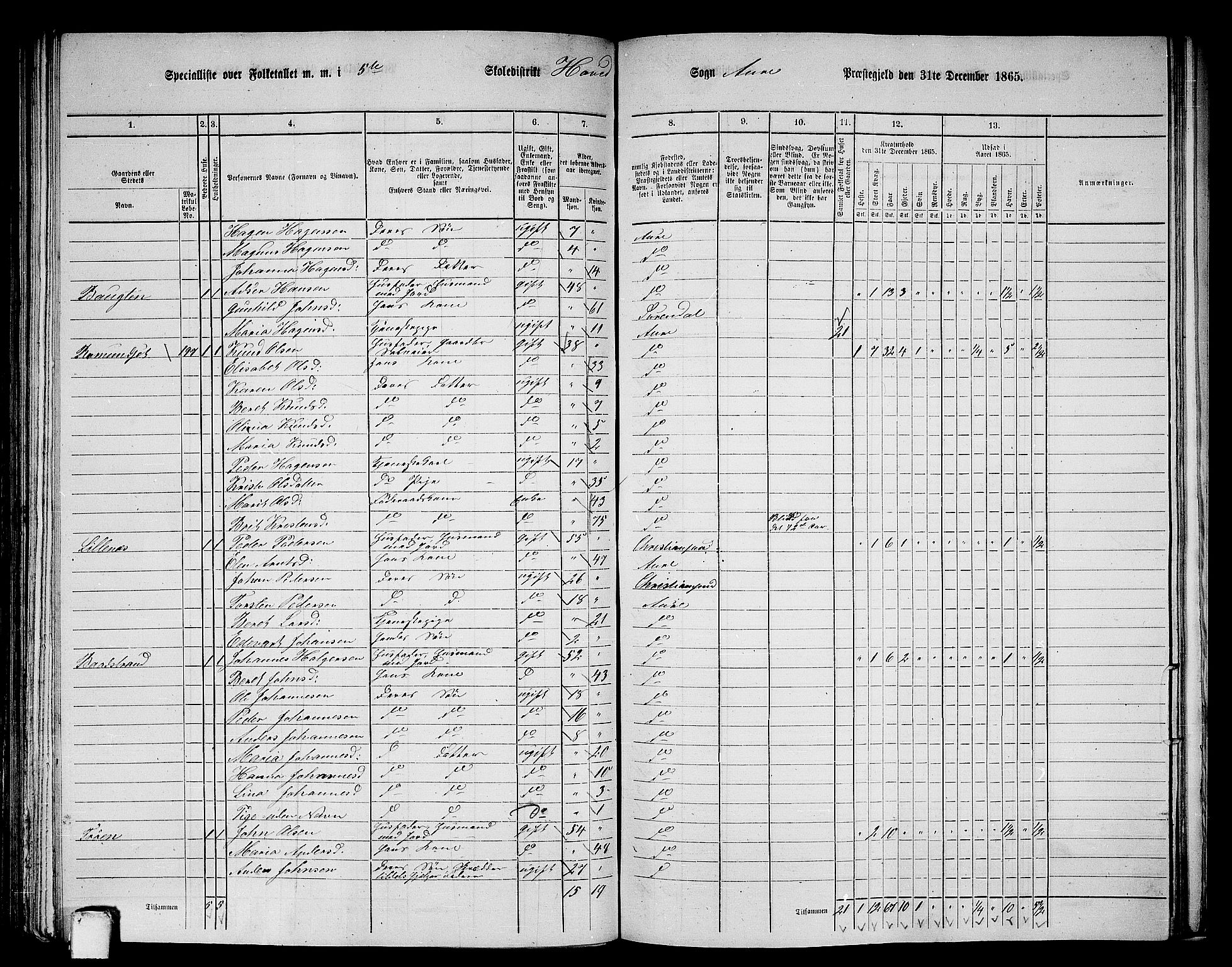 RA, 1865 census for Aure, 1865, p. 111