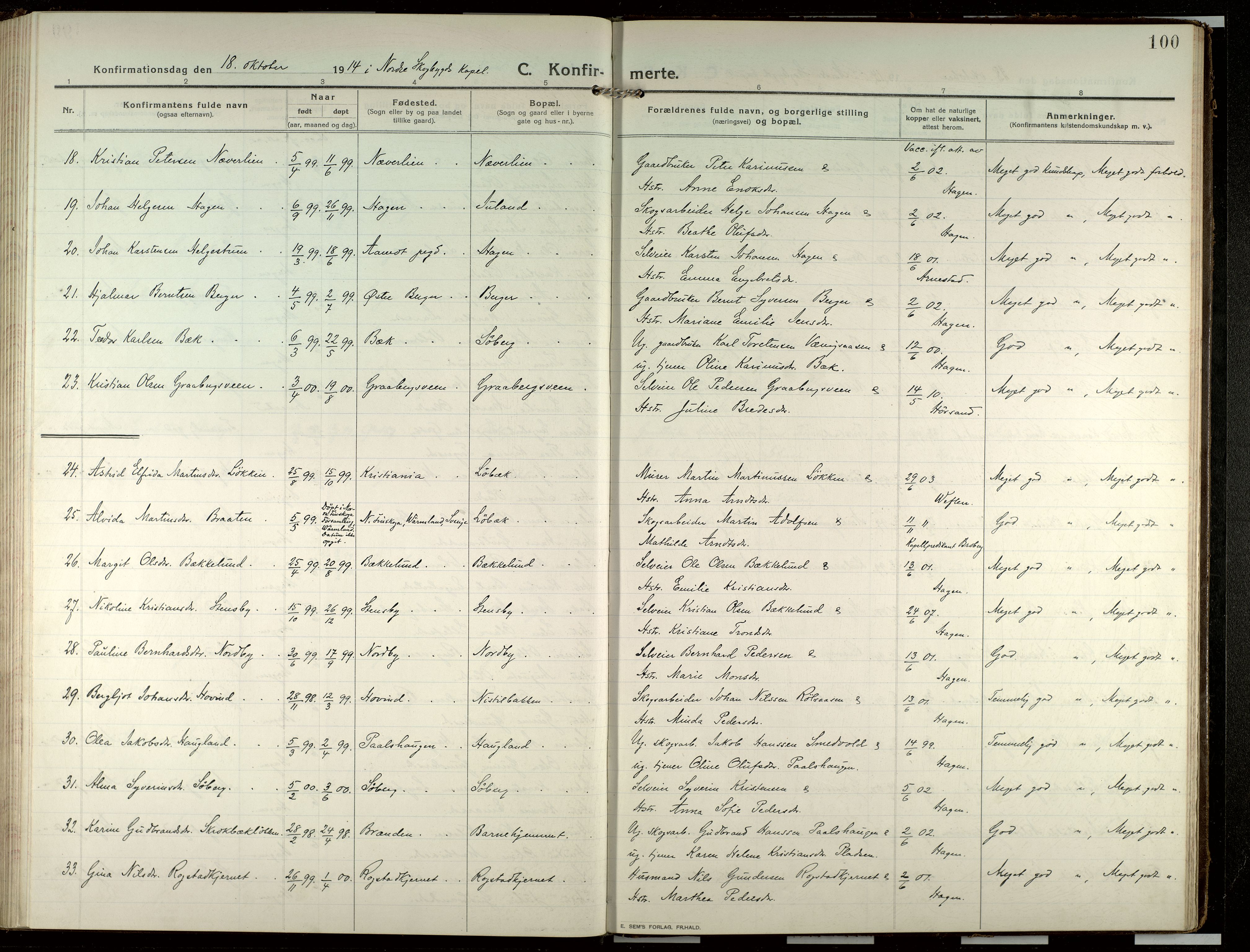 Elverum prestekontor, AV/SAH-PREST-044/H/Ha/Haa/L0022: Parish register (official) no. 22, 1913-1924, p. 100