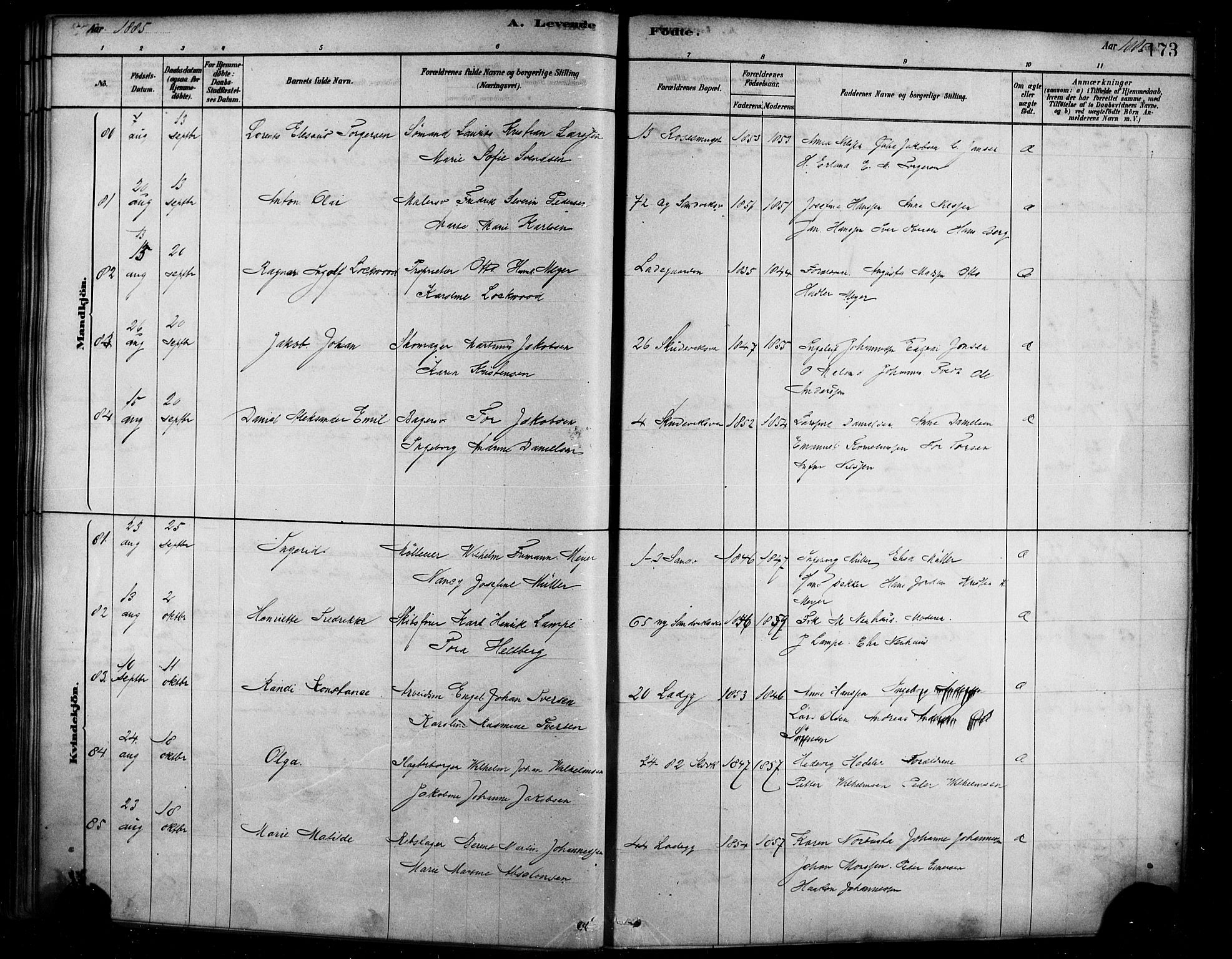 Sandviken Sokneprestembete, AV/SAB-A-77601/H/Ha/L0004: Parish register (official) no. B 1, 1878-1891, p. 173