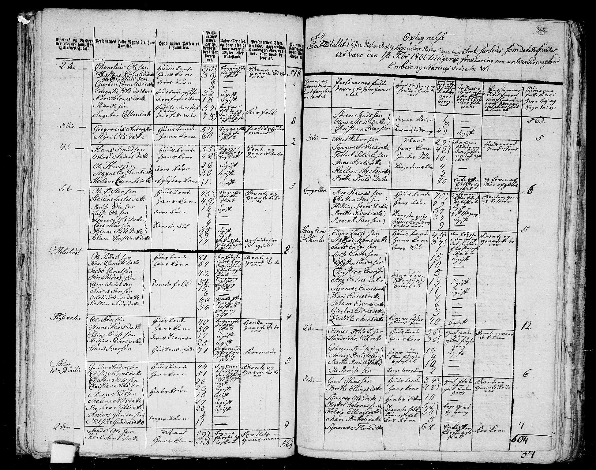 RA, 1801 census for 1429P Ytre Holmedal, 1801, p. 361b-362a