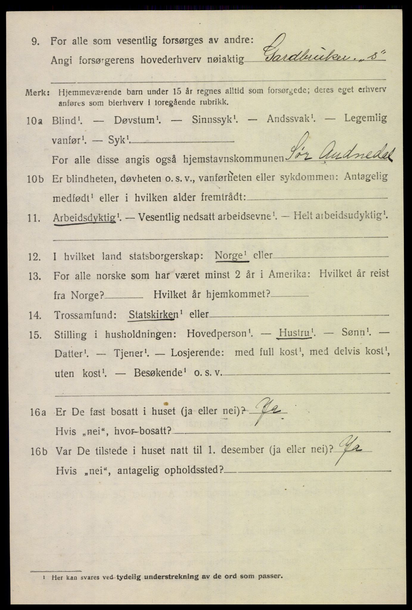 SAK, 1920 census for Sør-Audnedal, 1920, p. 2650