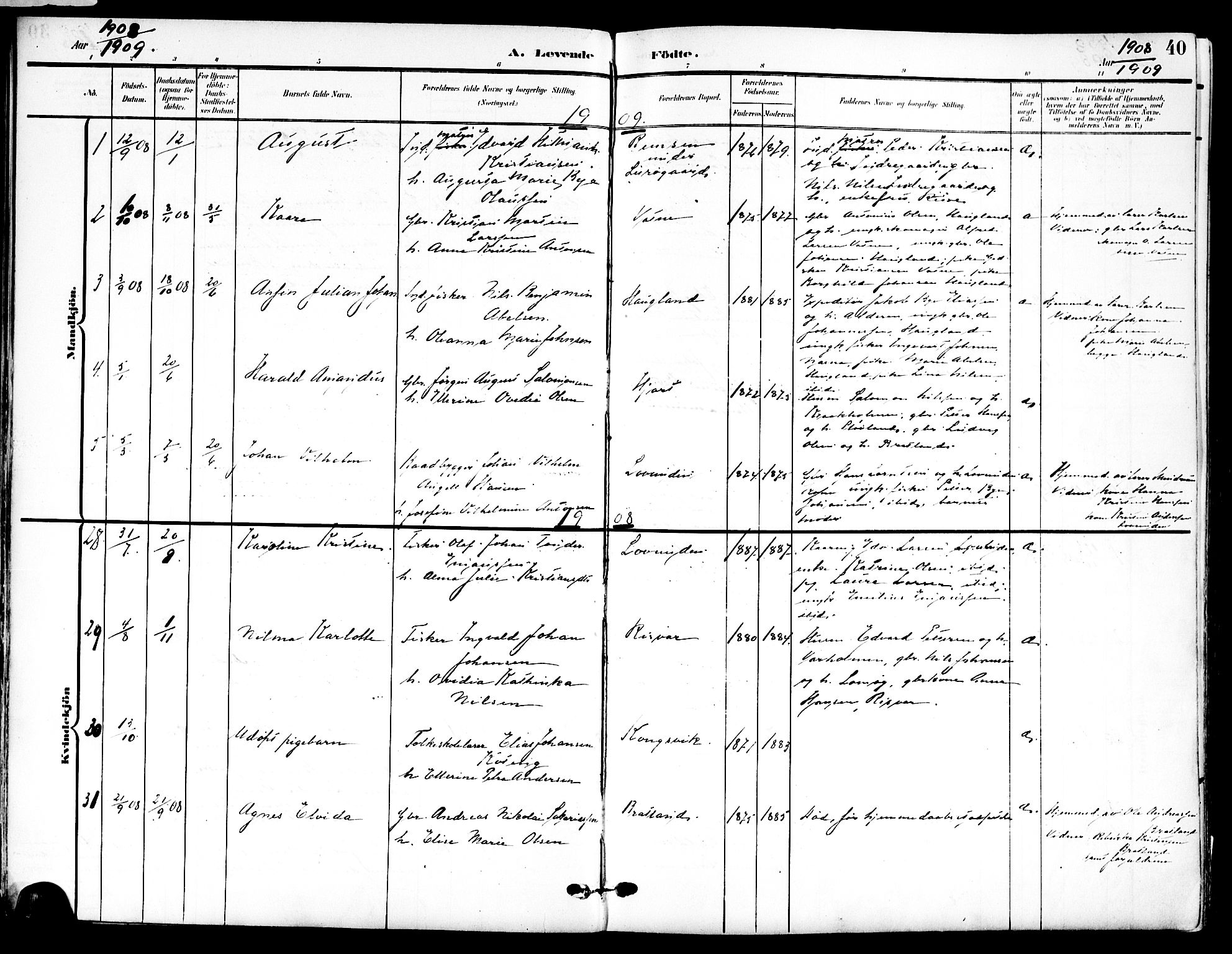 Ministerialprotokoller, klokkerbøker og fødselsregistre - Nordland, SAT/A-1459/839/L0569: Parish register (official) no. 839A06, 1903-1922, p. 40
