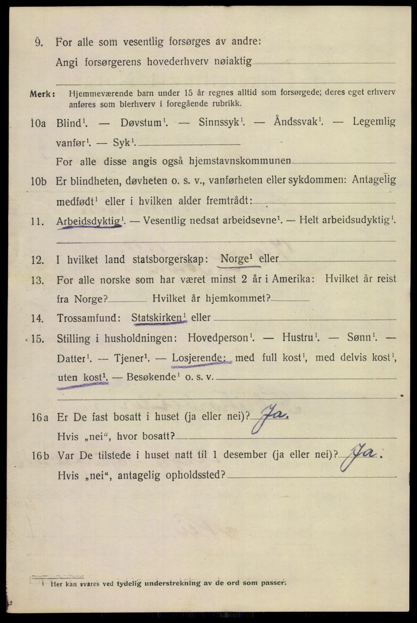 SAKO, 1920 census for Notodden, 1920, p. 6573