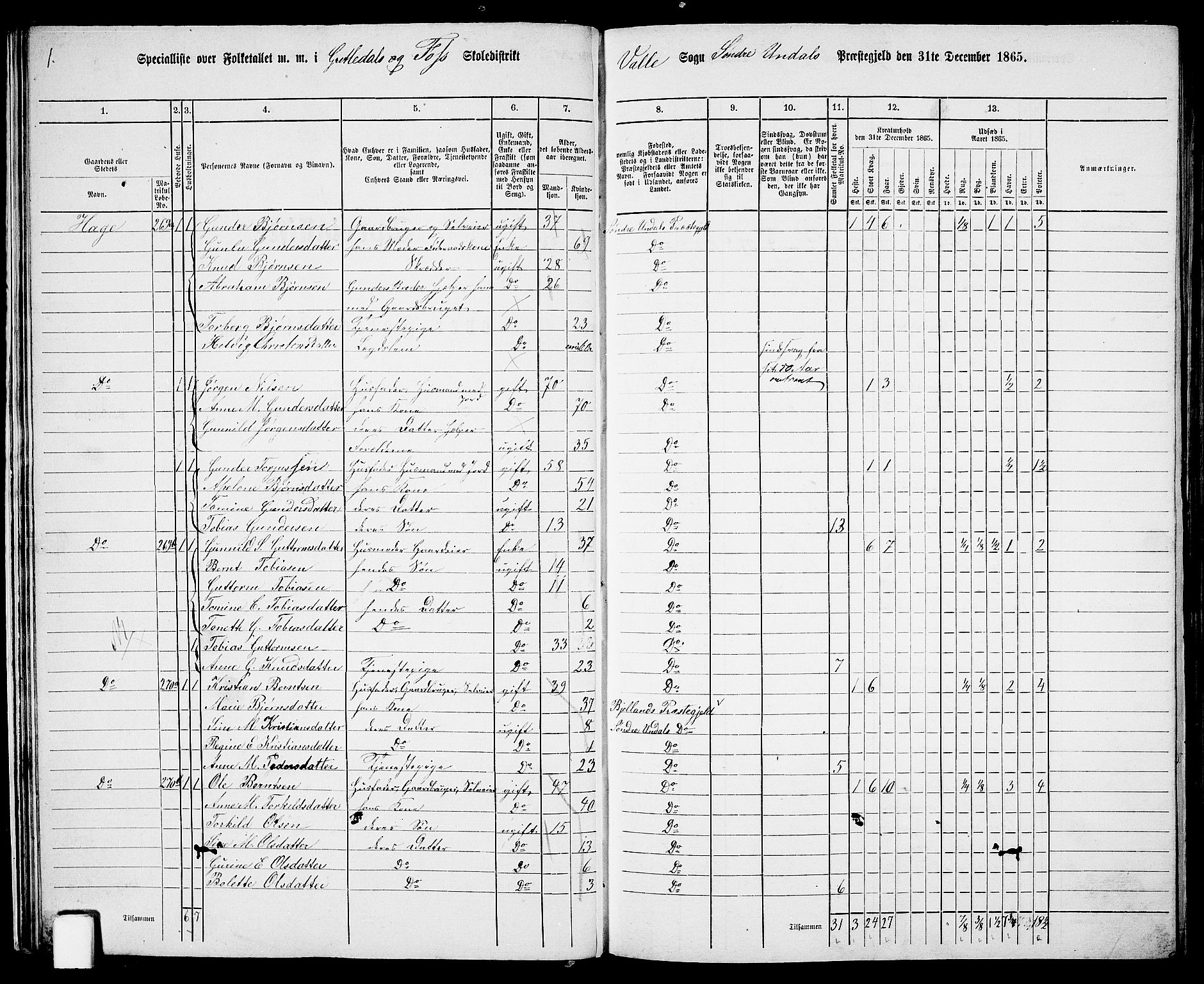 RA, 1865 census for Sør-Audnedal, 1865, p. 27