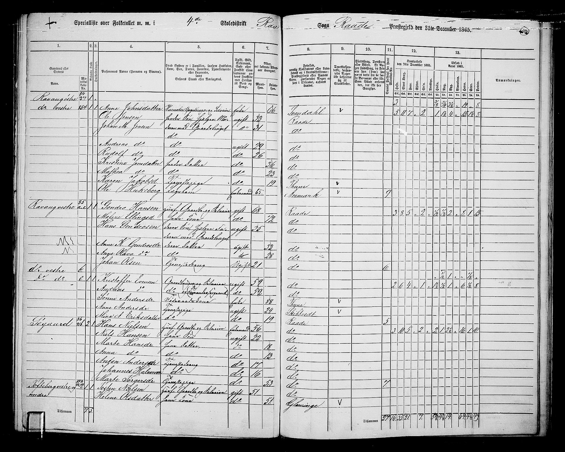 RA, 1865 census for Råde, 1865, p. 103