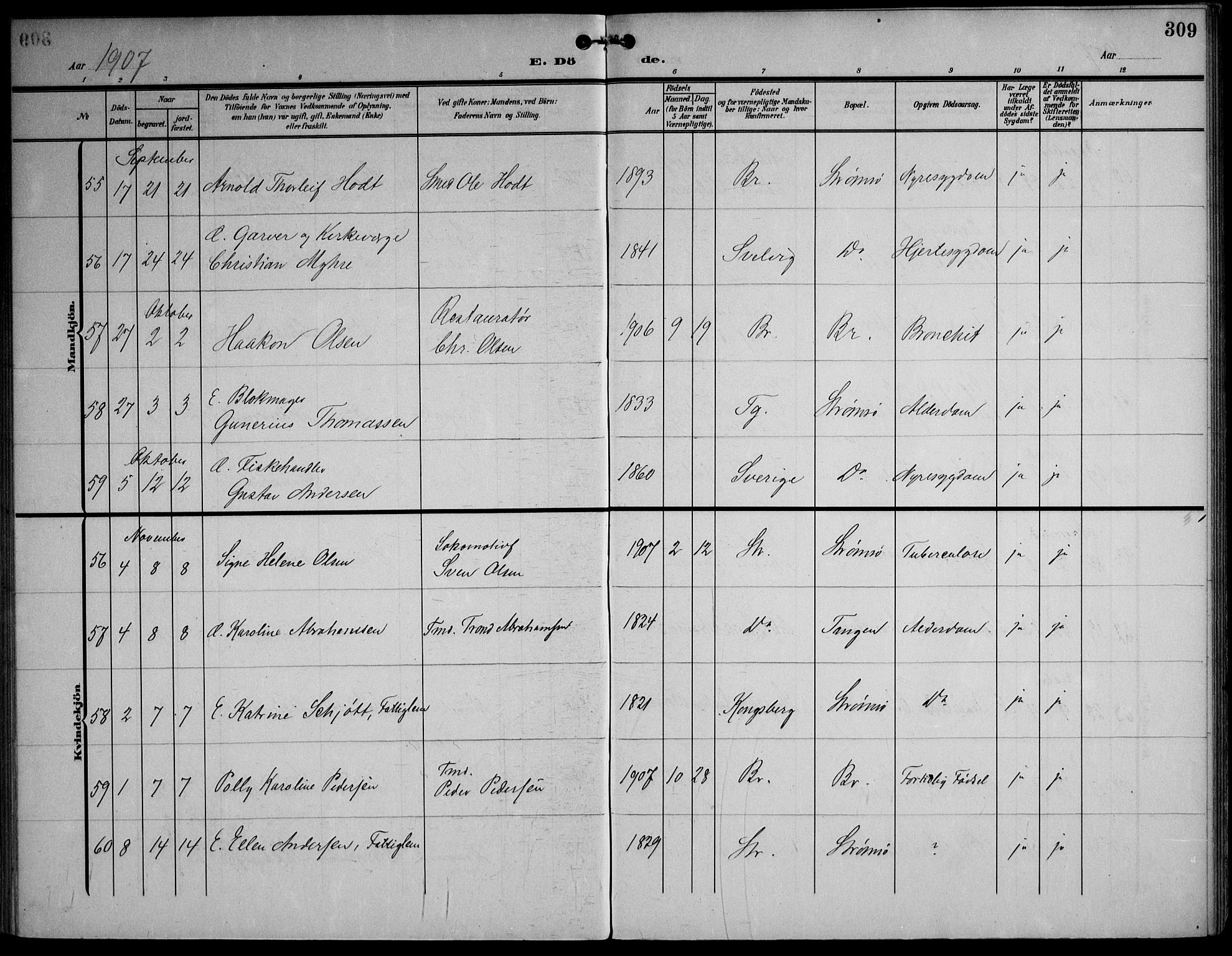 Strømsø kirkebøker, AV/SAKO-A-246/F/Fa/L0026: Parish register (official) no. I 26, 1905-1914, p. 309