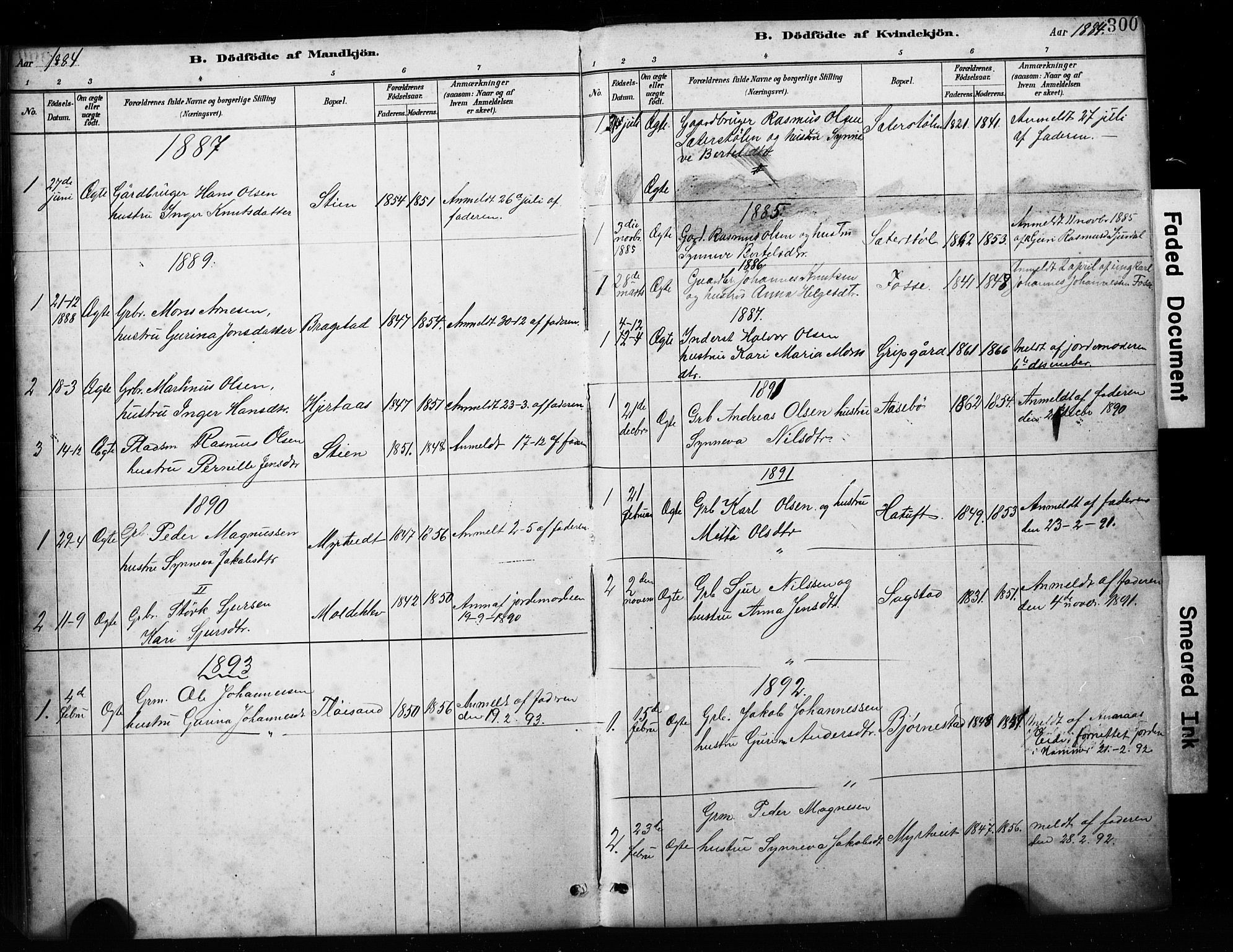 Alversund Sokneprestembete, SAB/A-73901/H/Ha/Hab: Parish register (copy) no. C 3, 1881-1894, p. 300