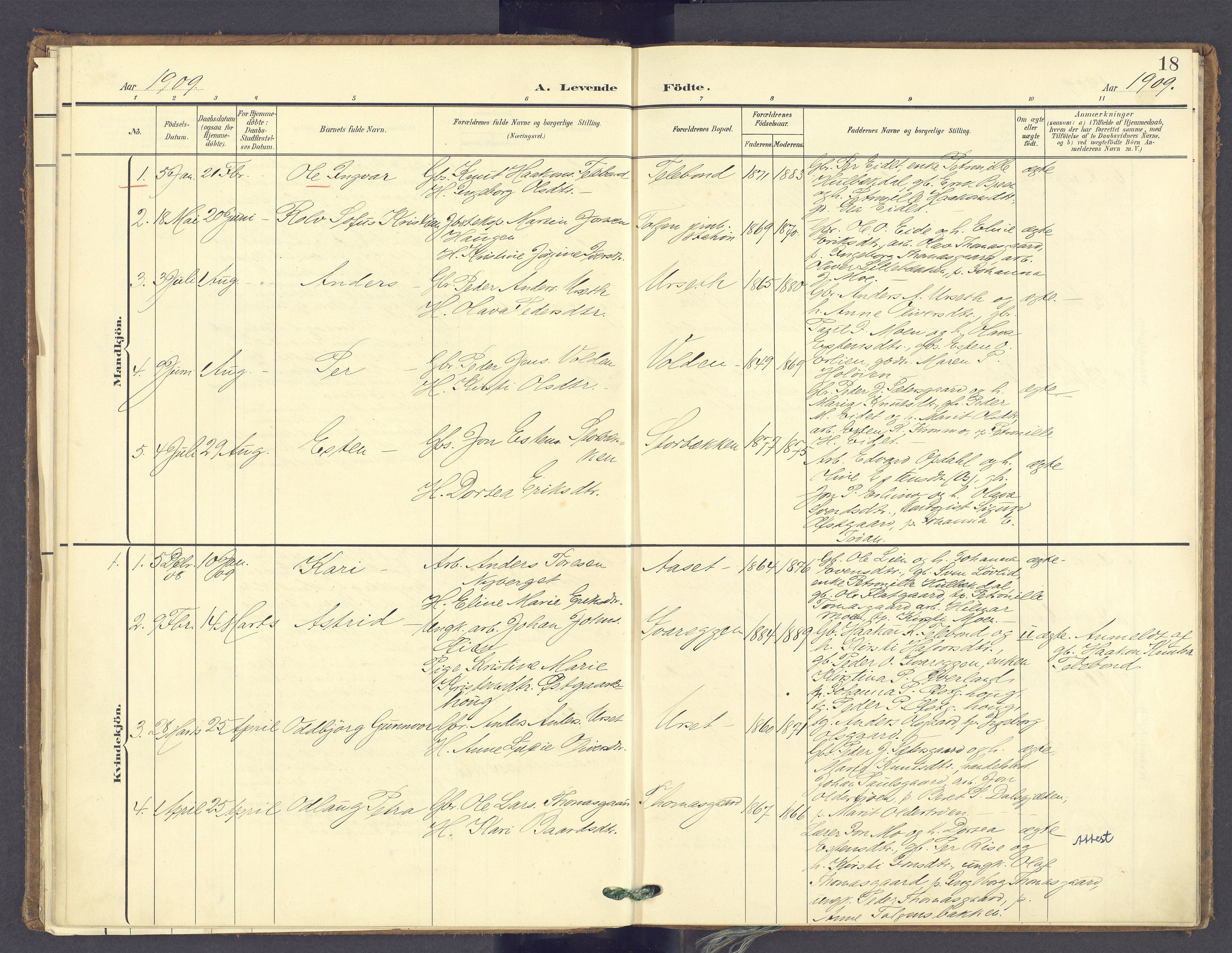 Tolga prestekontor, SAH/PREST-062/K/L0014: Parish register (official) no. 14, 1903-1929, p. 18