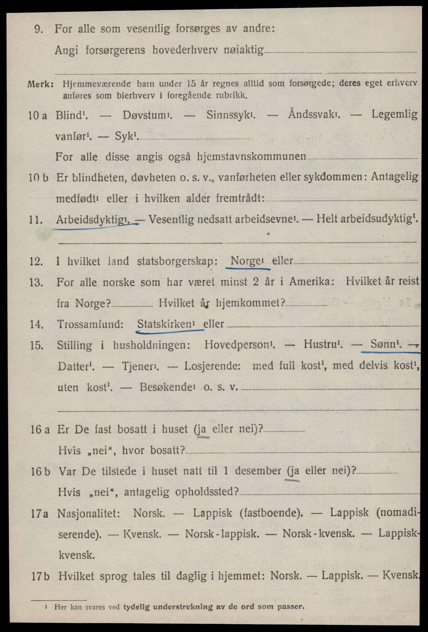 SAT, 1920 census for Haltdalen, 1920, p. 1009