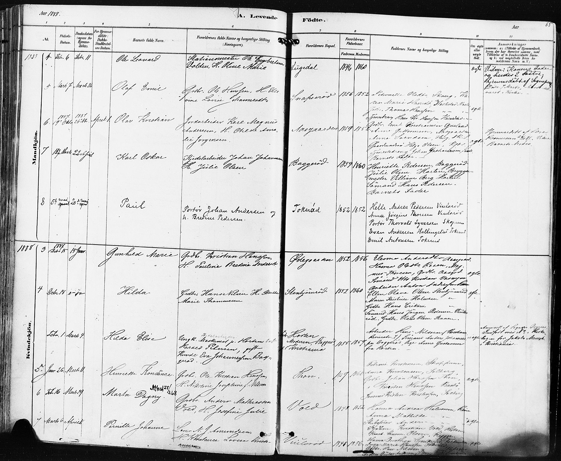 Borre kirkebøker, SAKO/A-338/F/Fa/L0009: Parish register (official) no. I 9, 1878-1896, p. 65