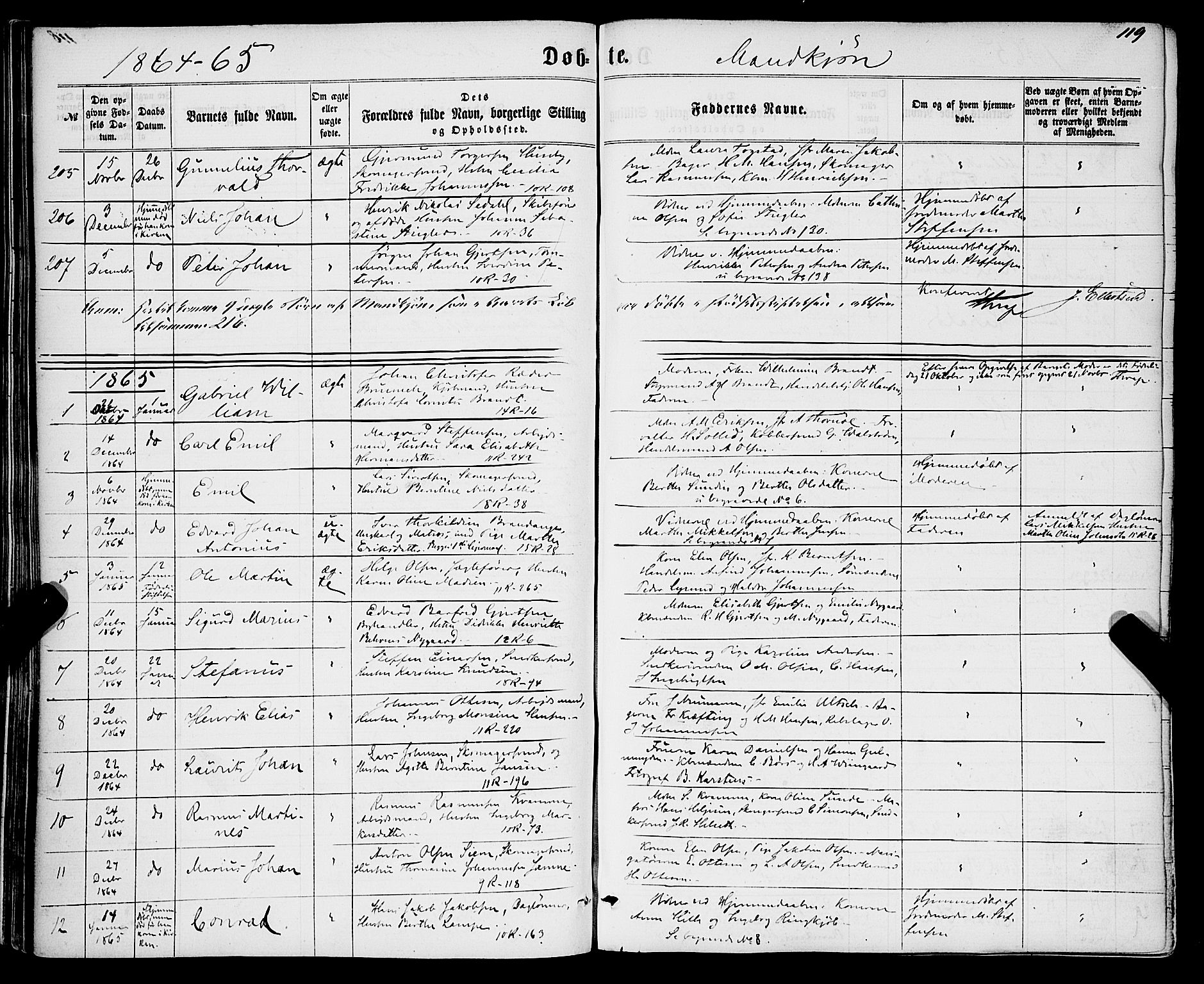 Domkirken sokneprestembete, SAB/A-74801/H/Haa/L0021: Parish register (official) no. B 4, 1859-1871, p. 119