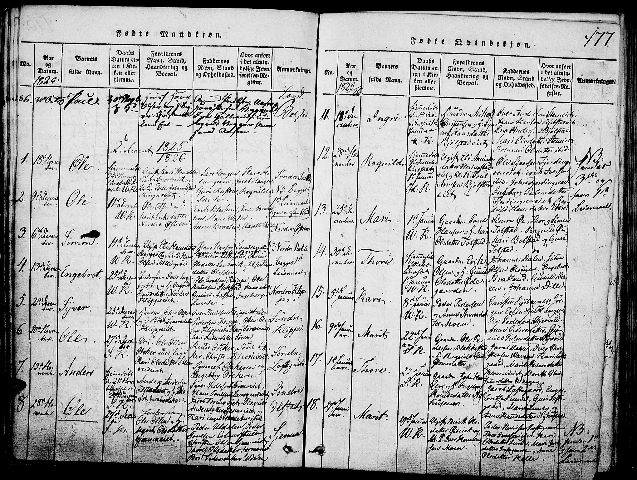 Vågå prestekontor, SAH/PREST-076/H/Ha/Hab/L0001: Parish register (copy) no. 1, 1815-1827, p. 176-177