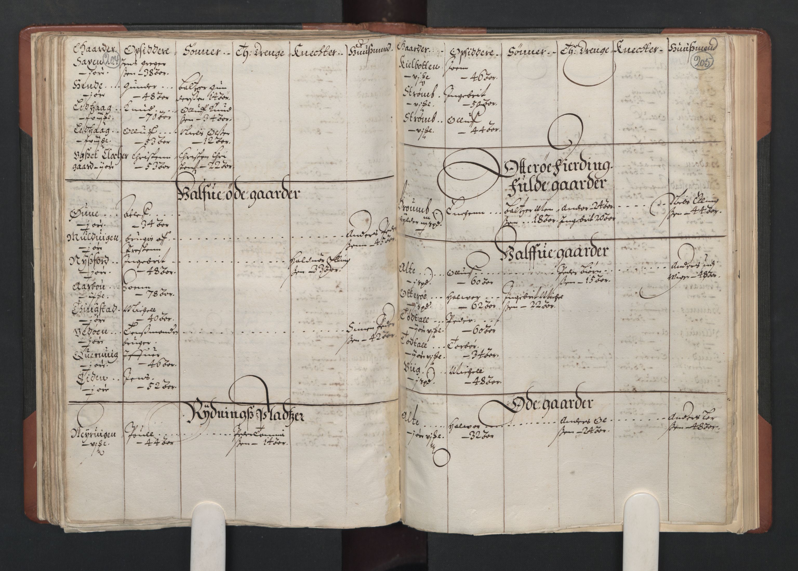 RA, Bailiff's Census 1664-1666, no. 19: Fosen fogderi, Inderøy fogderi, Selbu fogderi, Namdal fogderi and Stjørdal fogderi, 1664-1665, p. 204-205