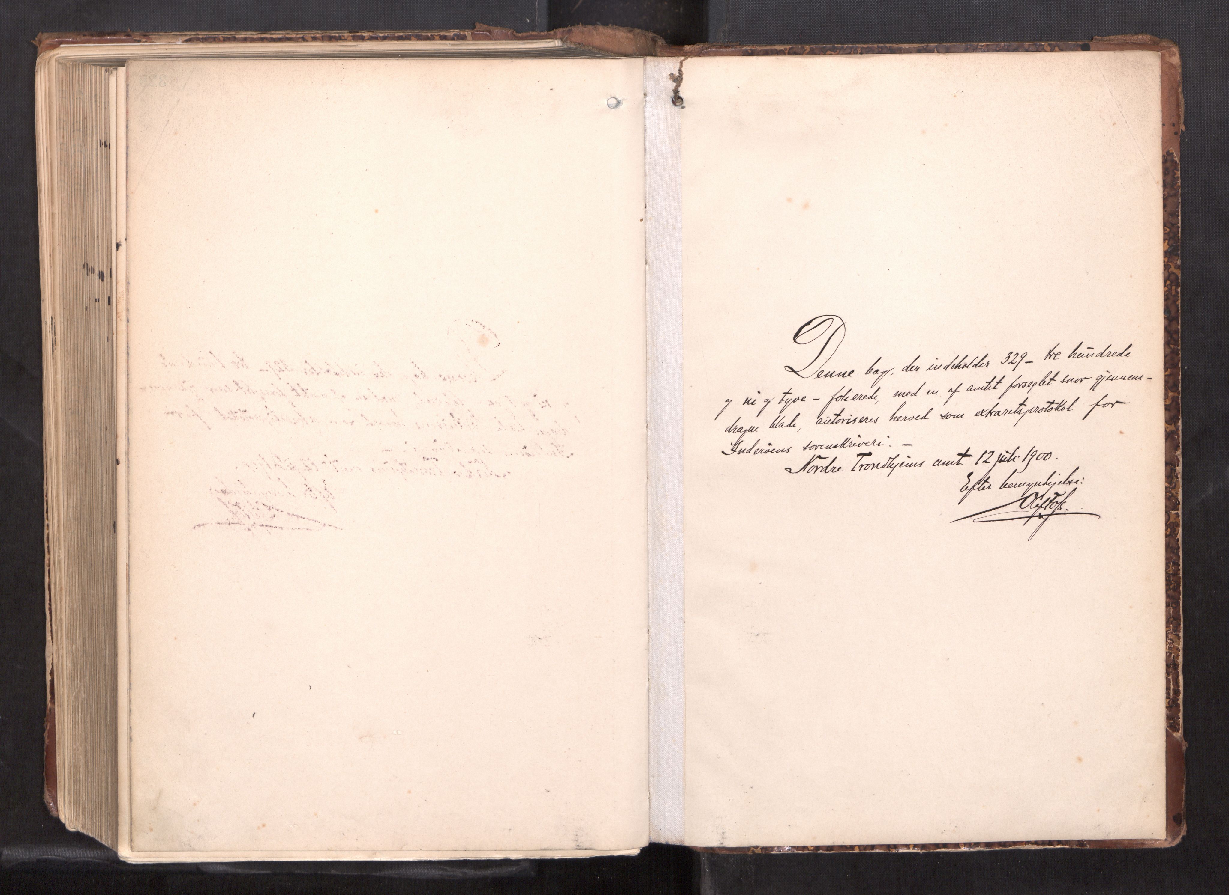 Inderøy sorenskriveri, AV/SAT-A-4147/1/1/1B/L0026: Ekstrarettsprotokoll F, 1900-1913, p. 324b