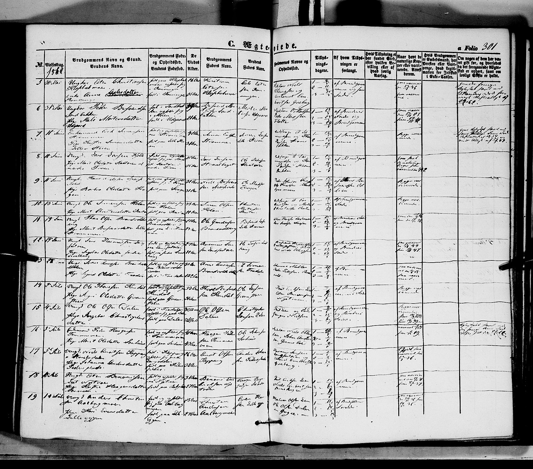 Tynset prestekontor, AV/SAH-PREST-058/H/Ha/Haa/L0020: Parish register (official) no. 20, 1848-1862, p. 301