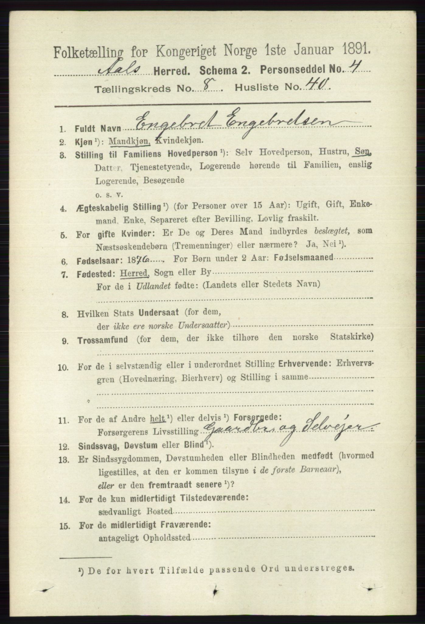 RA, 1891 census for 0619 Ål, 1891, p. 2311