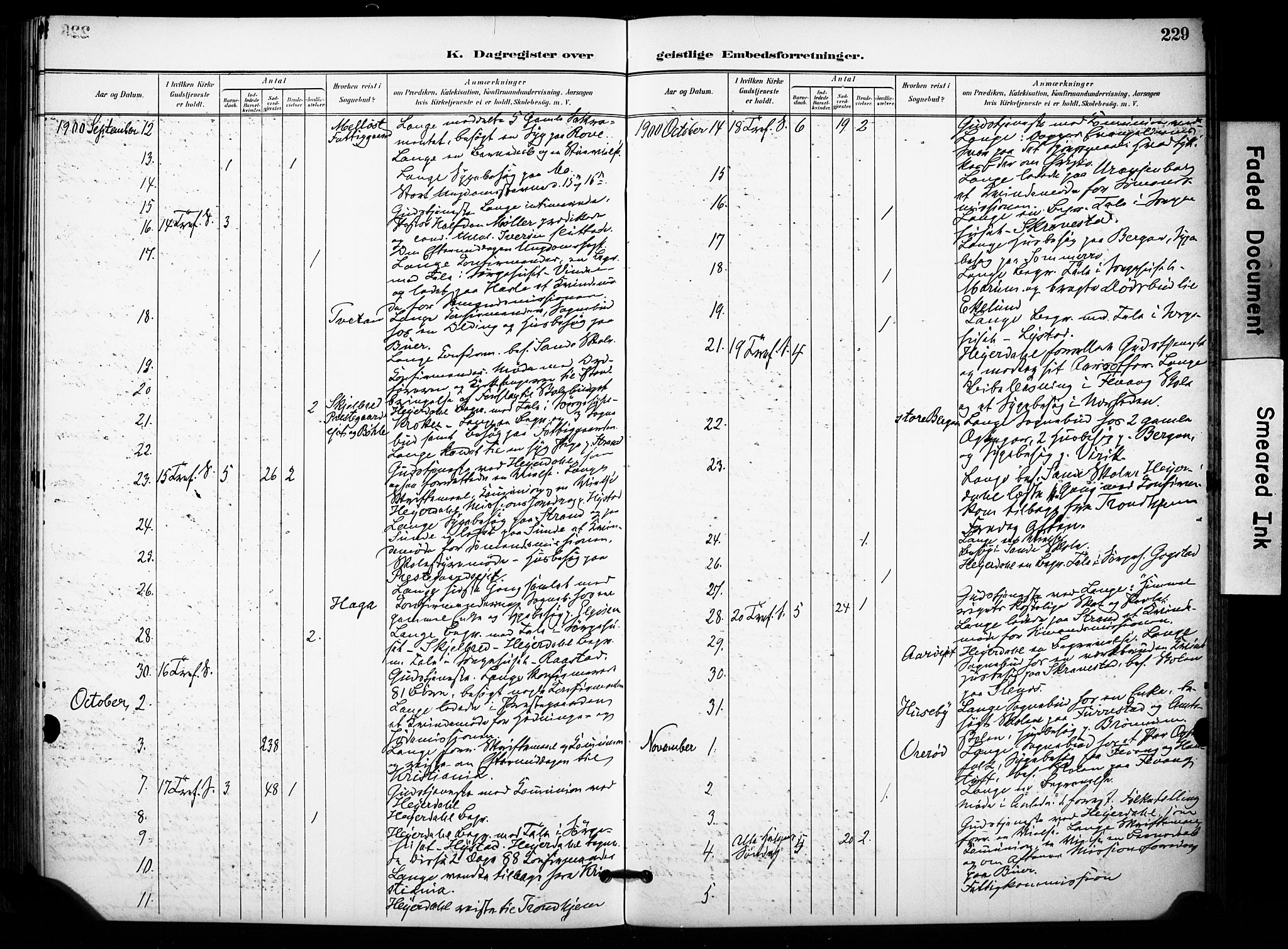 Sandar kirkebøker, SAKO/A-243/F/Fa/L0015: Parish register (official) no. 15, 1896-1907, p. 229