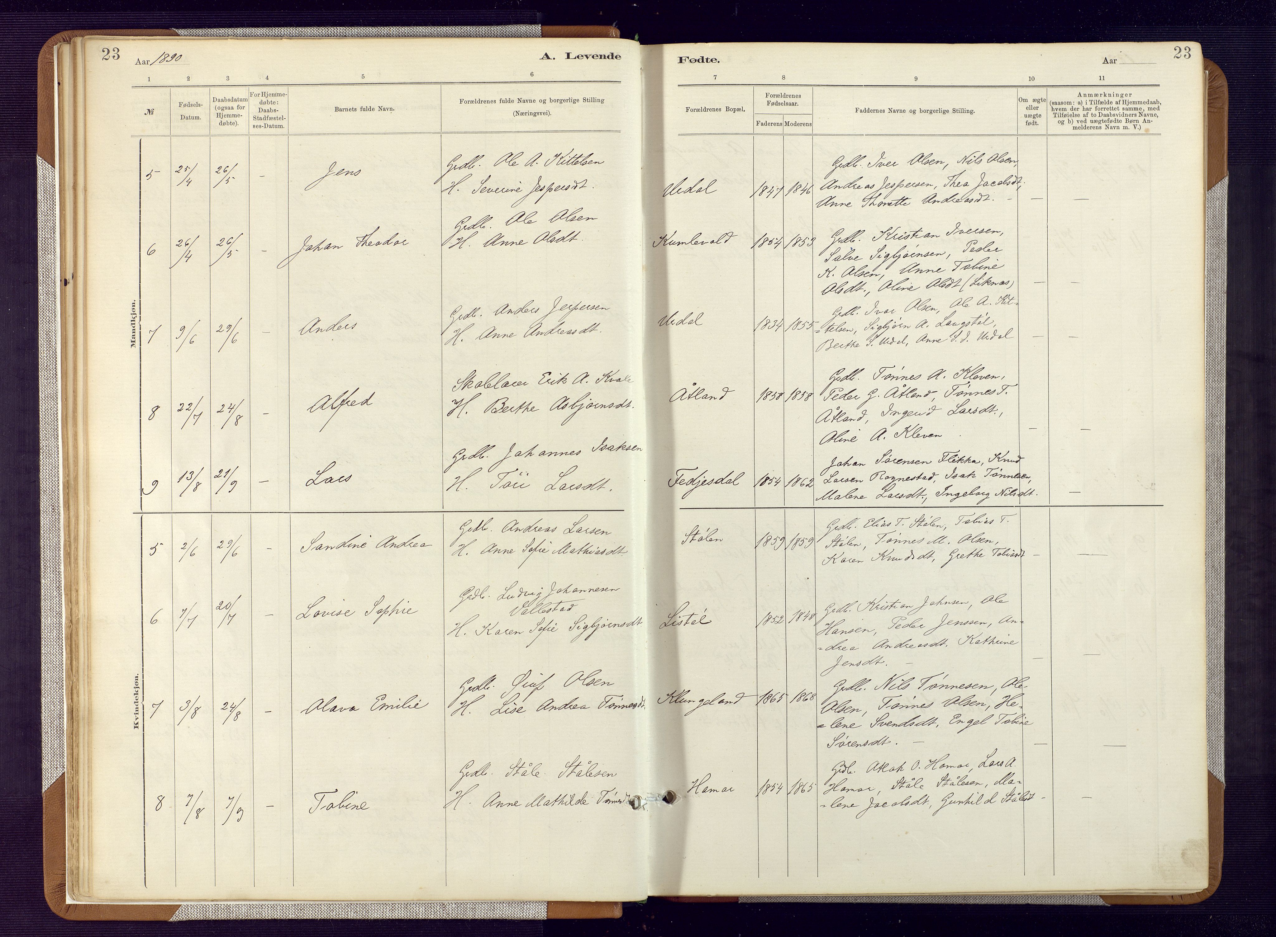 Bakke sokneprestkontor, SAK/1111-0002/F/Fa/Fab/L0003: Parish register (official) no. A 3, 1884-1921, p. 23