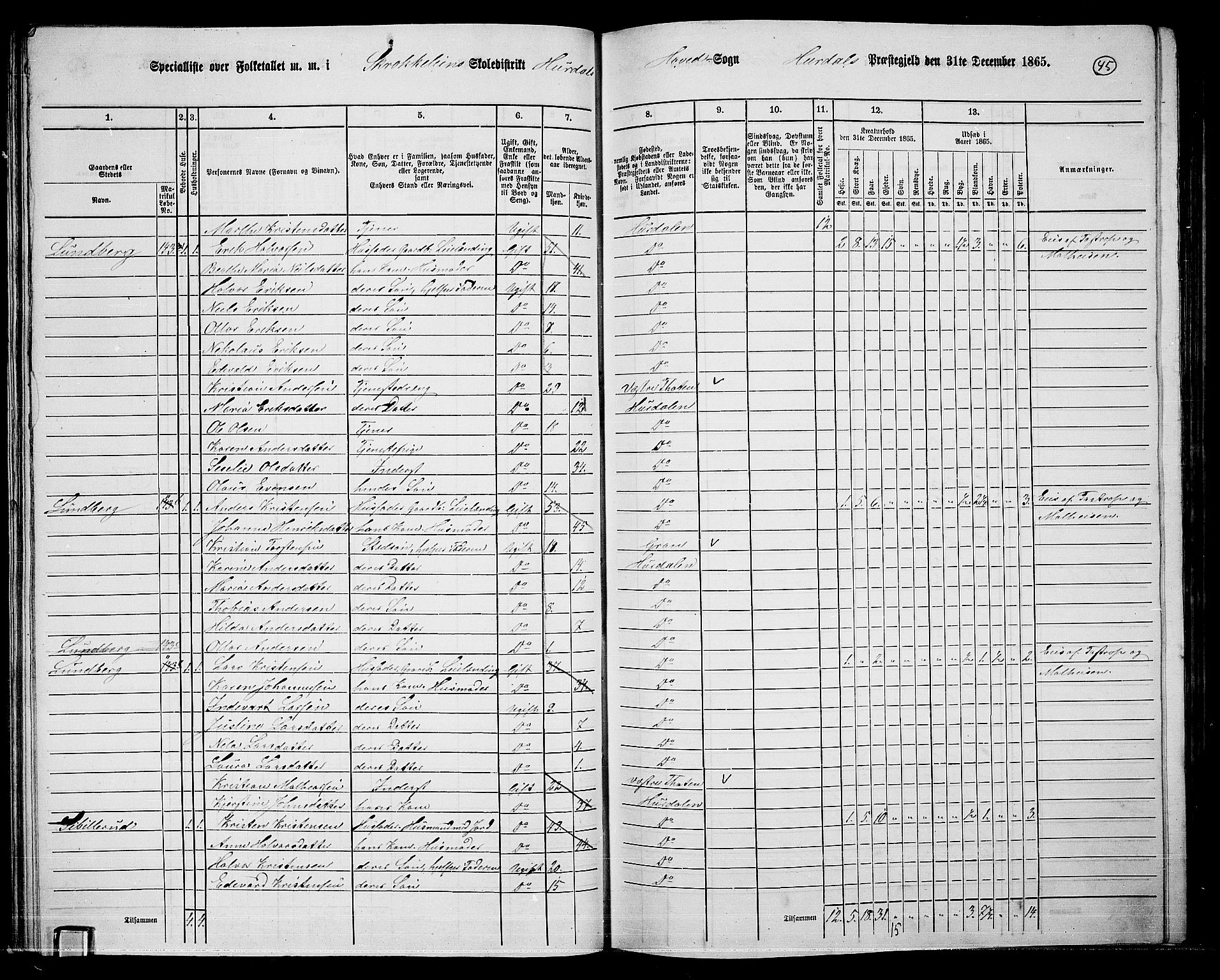 RA, 1865 census for Hurdal, 1865, p. 39