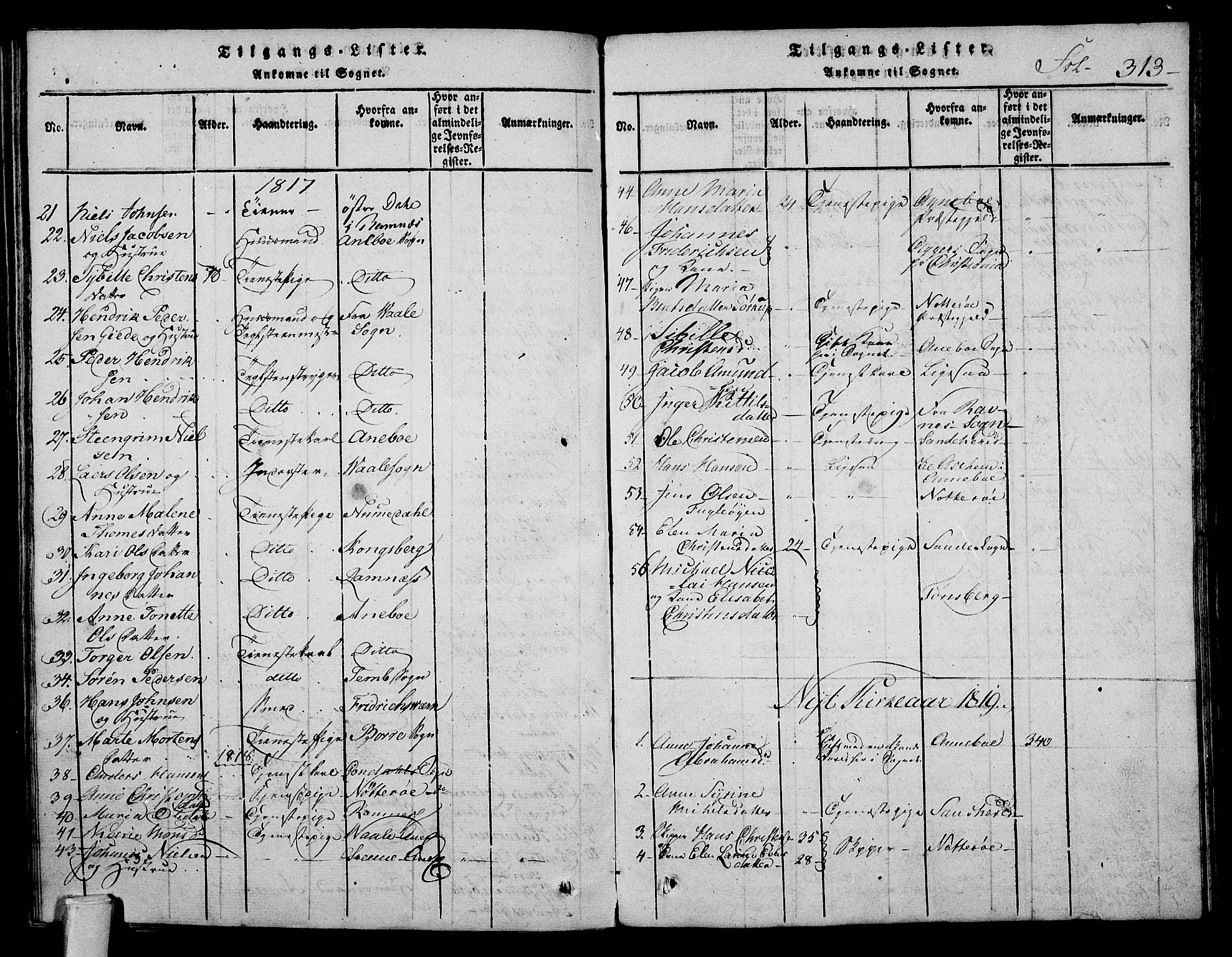 Stokke kirkebøker, AV/SAKO-A-320/F/Fa/L0005: Parish register (official) no. I 5, 1815-1826, p. 313