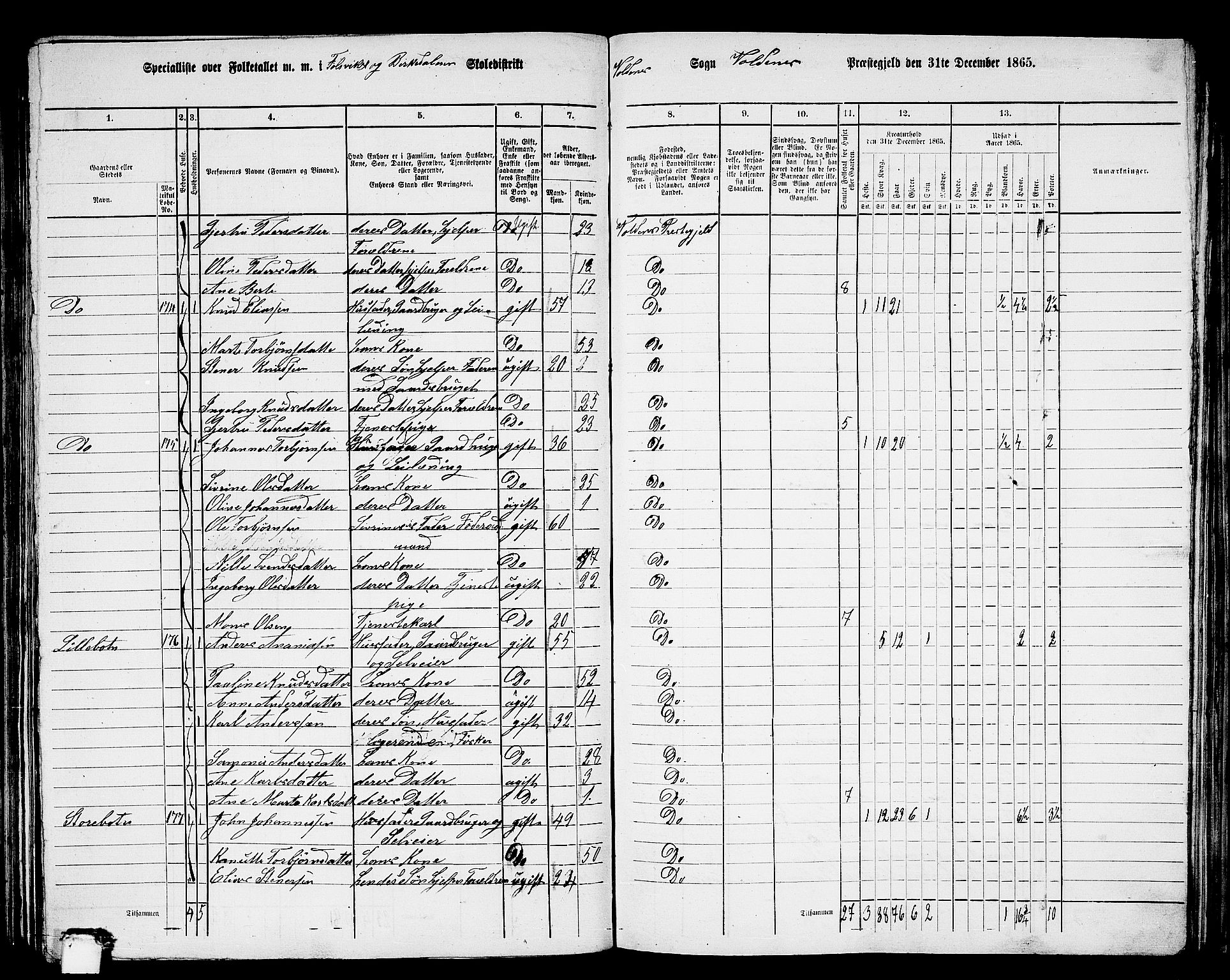 RA, 1865 census for Volda, 1865, p. 110