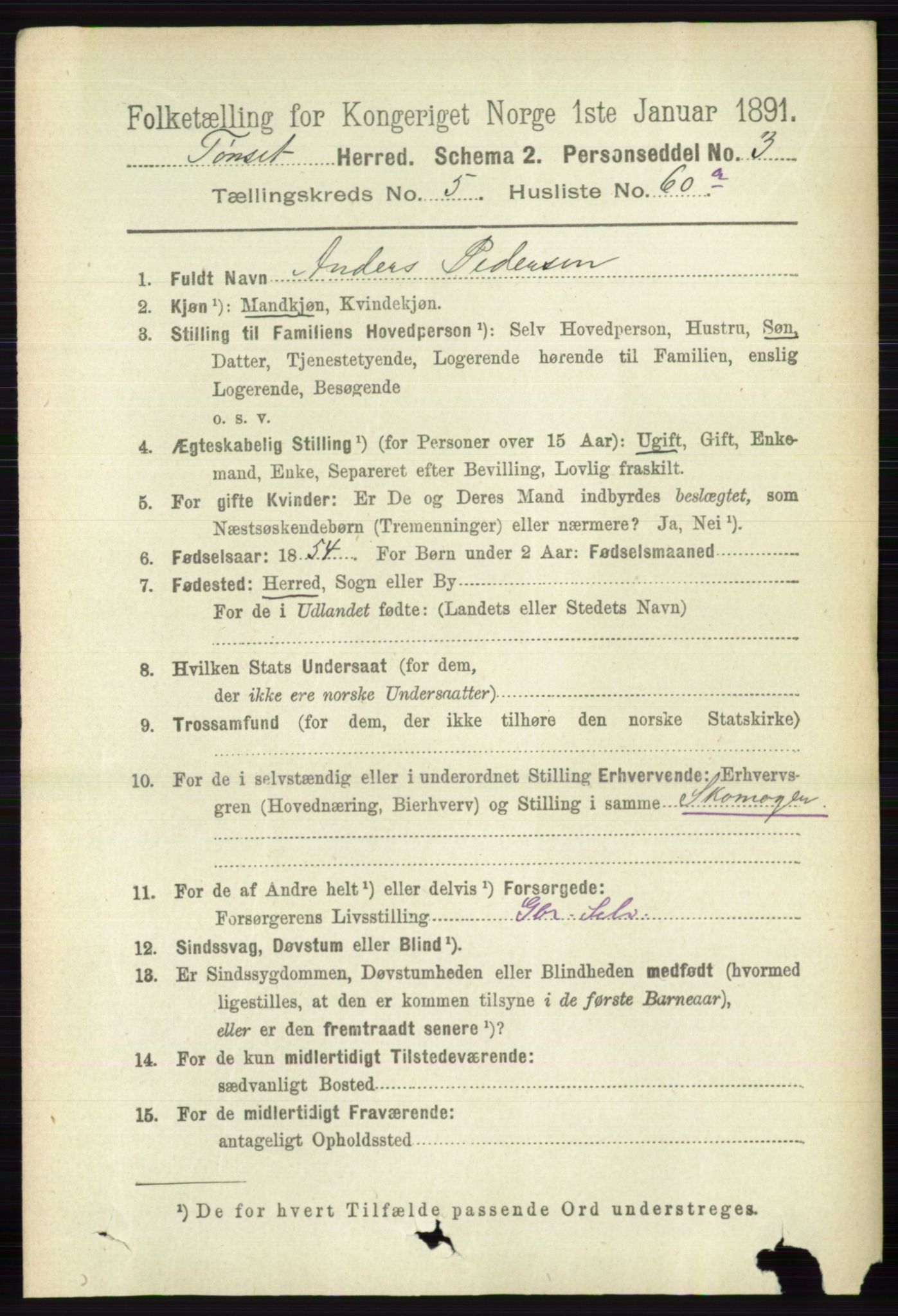 RA, 1891 census for 0437 Tynset, 1891, p. 1429