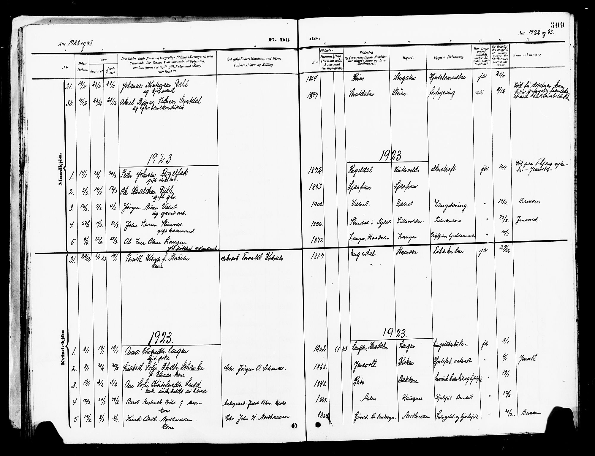 Ministerialprotokoller, klokkerbøker og fødselsregistre - Sør-Trøndelag, SAT/A-1456/681/L0942: Parish register (copy) no. 681C06, 1906-1925, p. 309