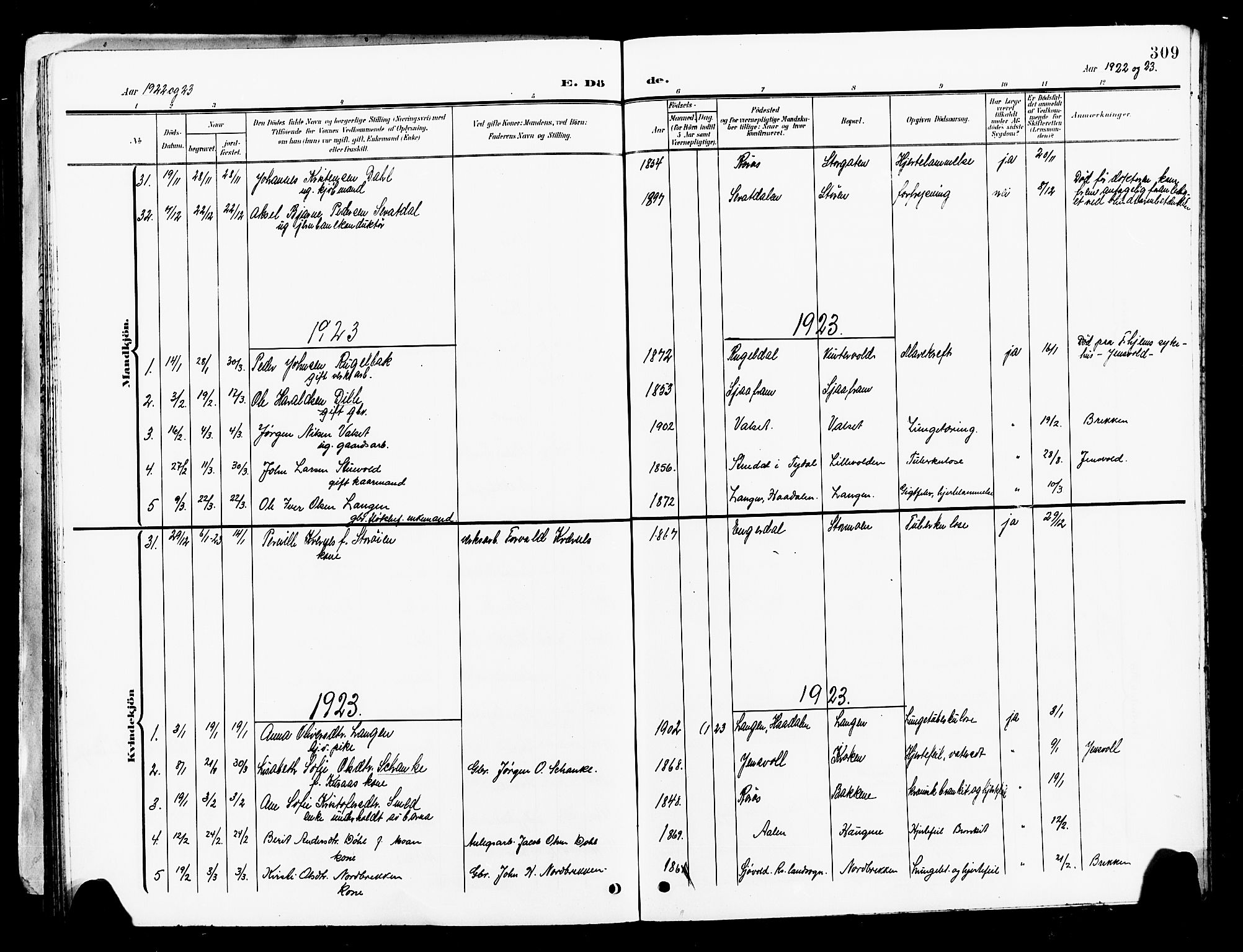 Ministerialprotokoller, klokkerbøker og fødselsregistre - Sør-Trøndelag, AV/SAT-A-1456/681/L0942: Parish register (copy) no. 681C06, 1906-1925, p. 309