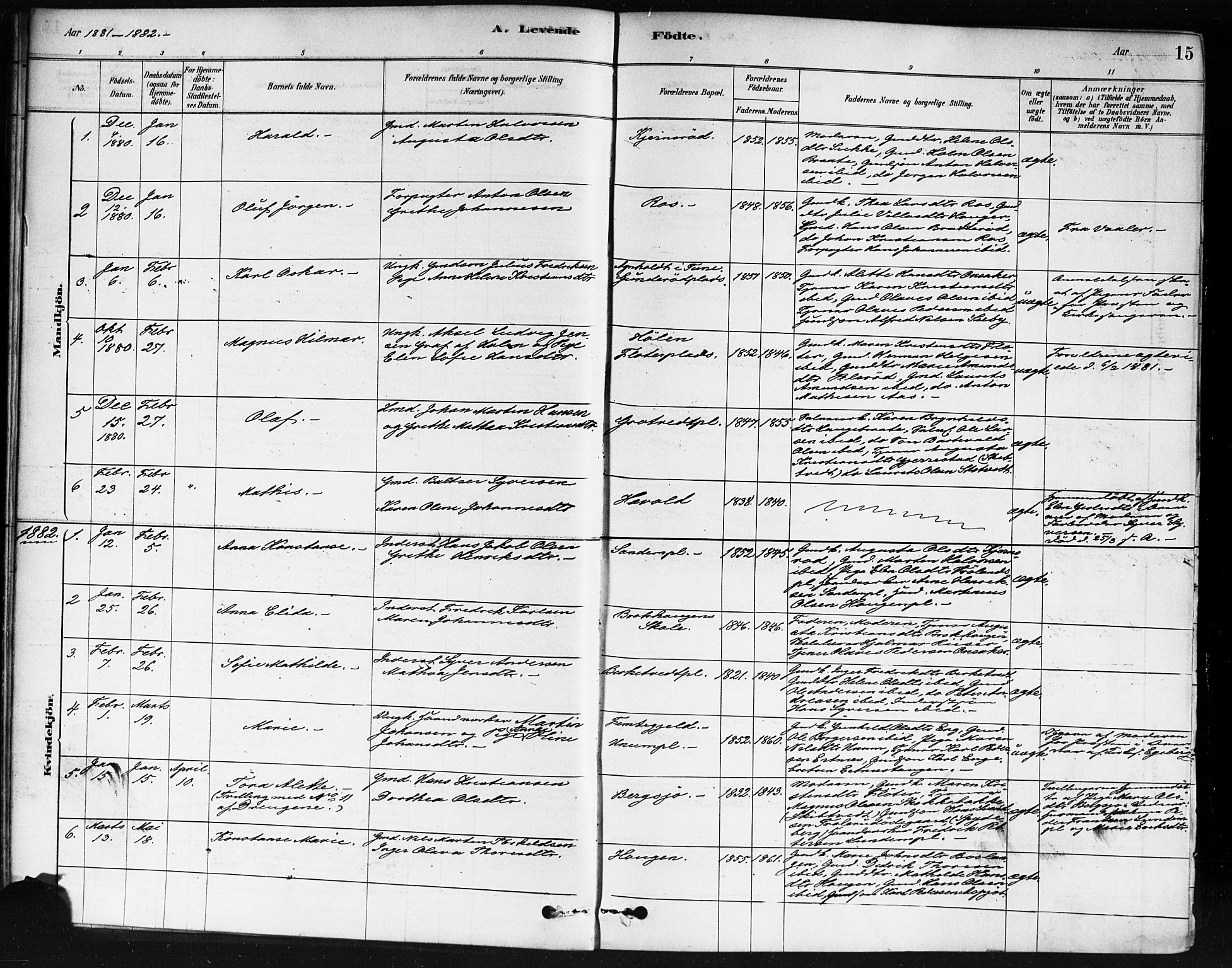 Våler prestekontor Kirkebøker, AV/SAO-A-11083/F/Fb/L0001: Parish register (official) no. II 1, 1878-1896, p. 15