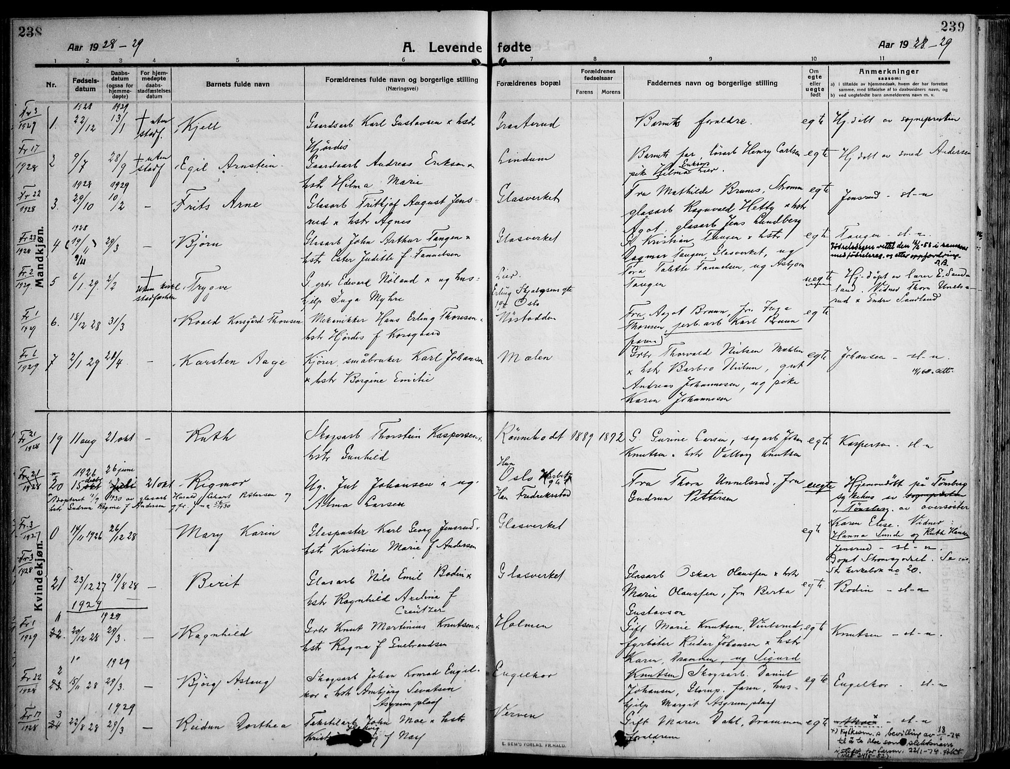 Skoger kirkebøker, AV/SAKO-A-59/F/Fa/L0007: Parish register (official) no. I 7, 1911-1936, p. 238-239