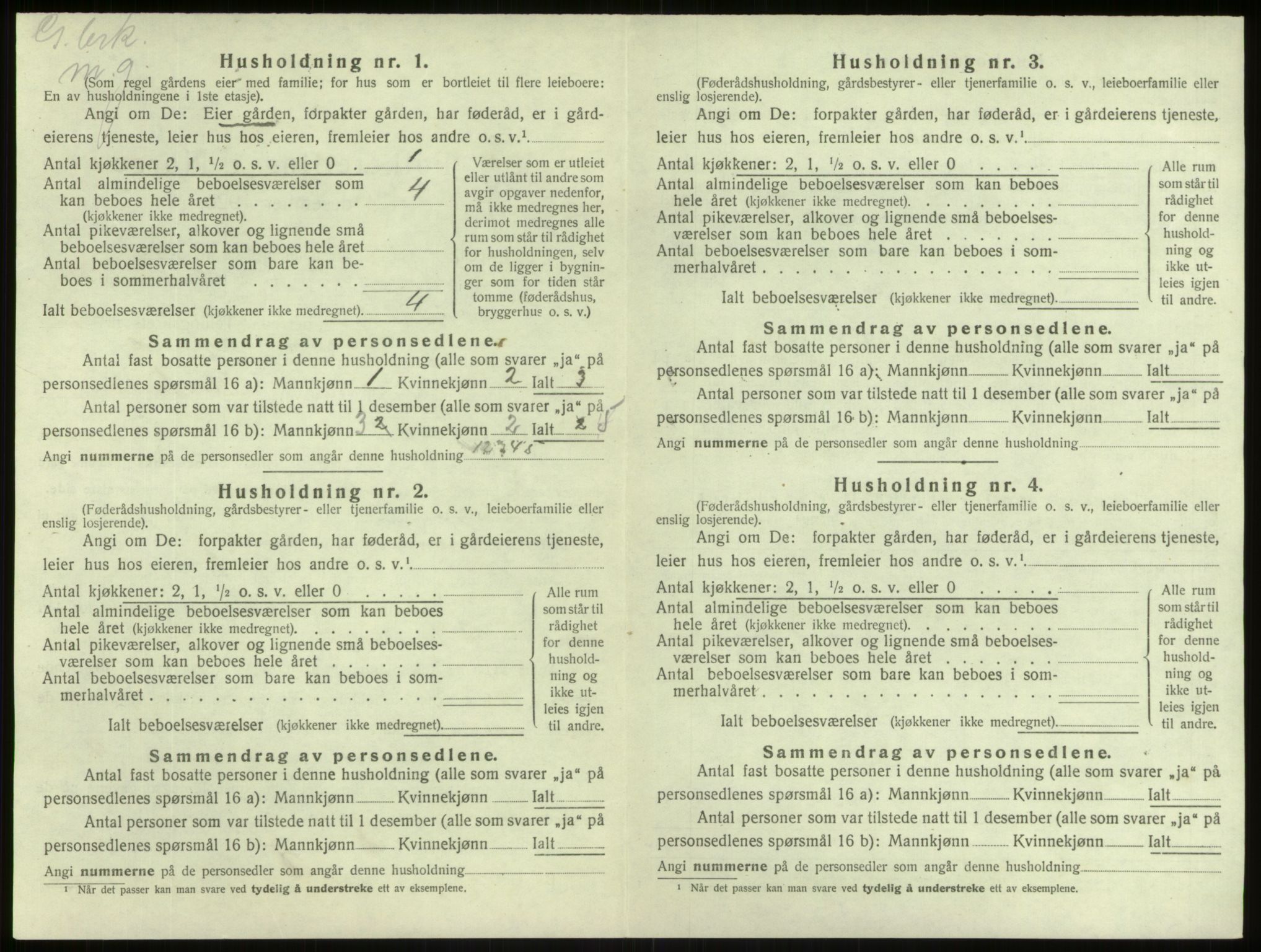 SAB, 1920 census for Lærdal, 1920, p. 536