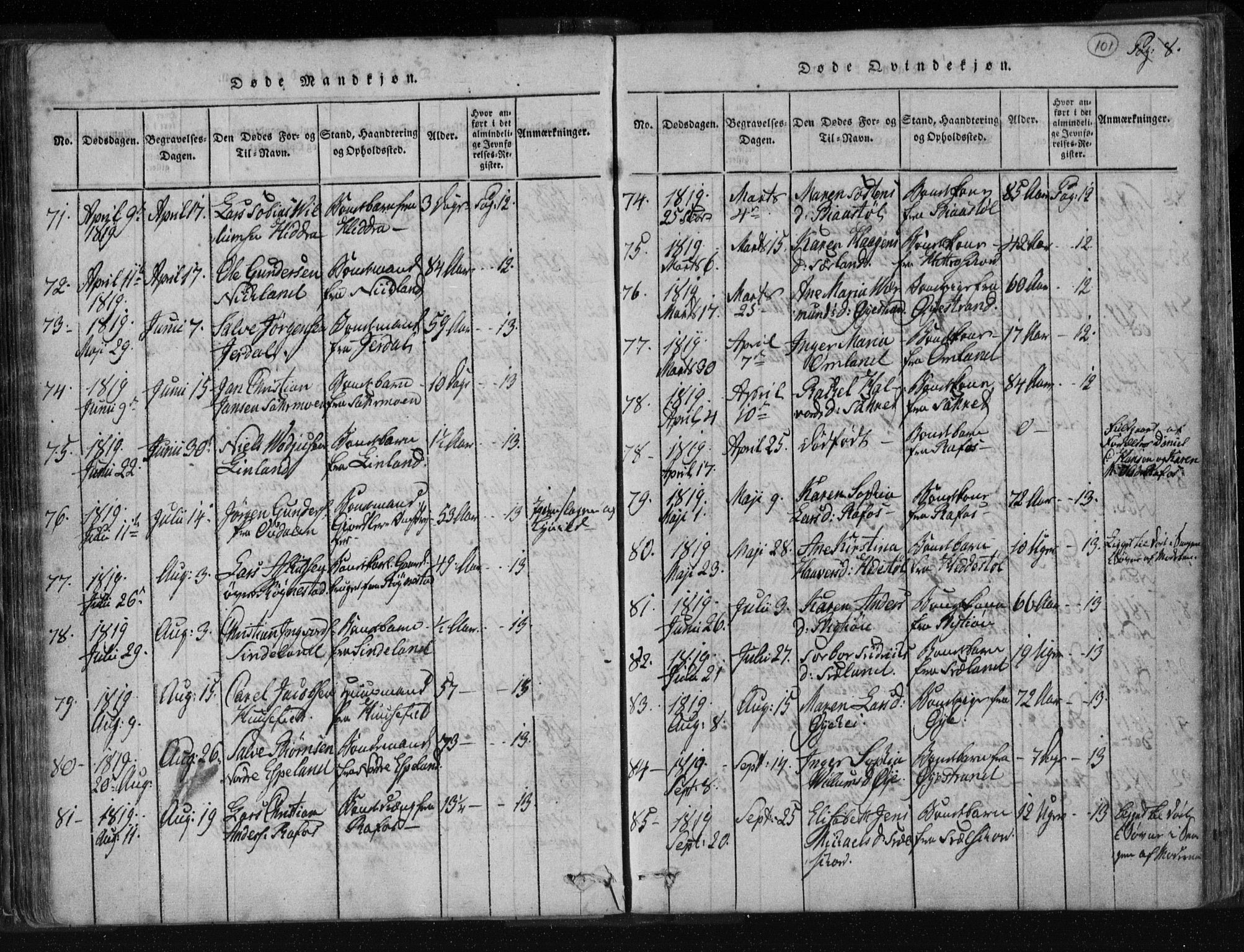 Kvinesdal sokneprestkontor, AV/SAK-1111-0026/F/Fa/Fab/L0003: Parish register (official) no. A 3, 1815-1829, p. 101