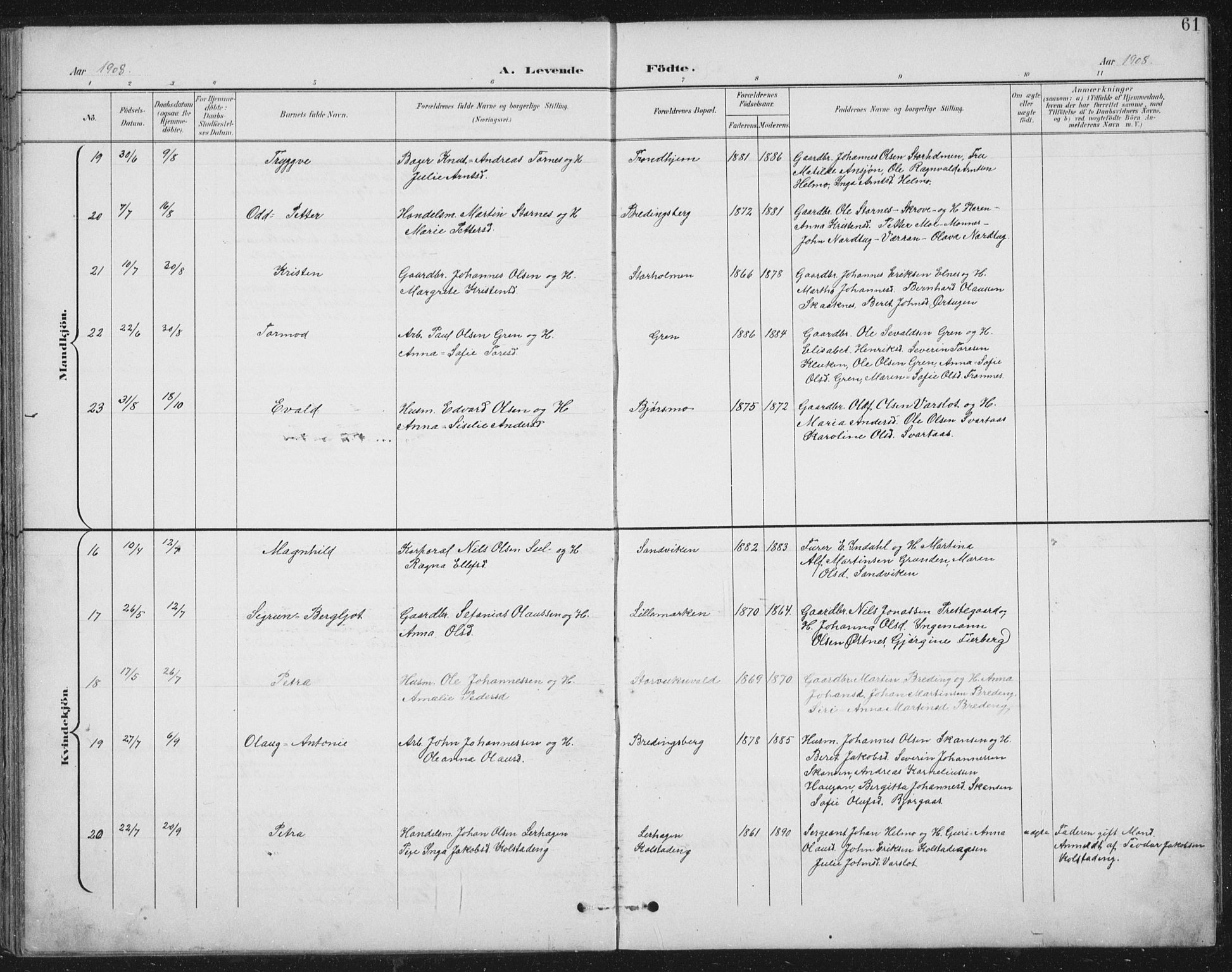 Ministerialprotokoller, klokkerbøker og fødselsregistre - Nord-Trøndelag, SAT/A-1458/724/L0269: Parish register (copy) no. 724C05, 1899-1920, p. 61