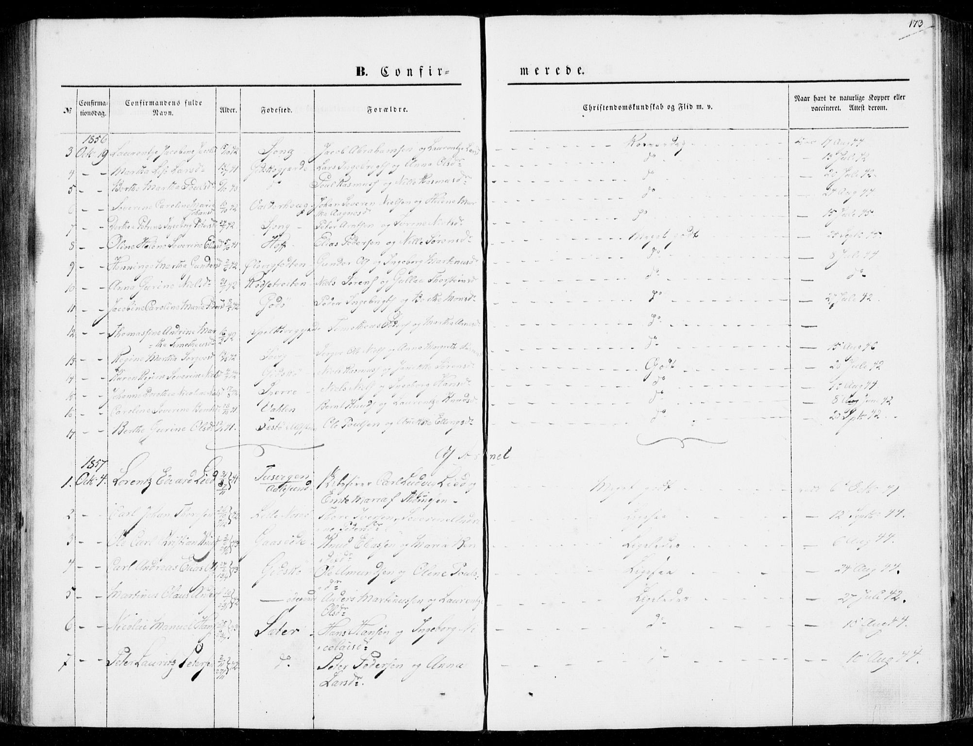 Ministerialprotokoller, klokkerbøker og fødselsregistre - Møre og Romsdal, AV/SAT-A-1454/528/L0397: Parish register (official) no. 528A08, 1848-1858, p. 173