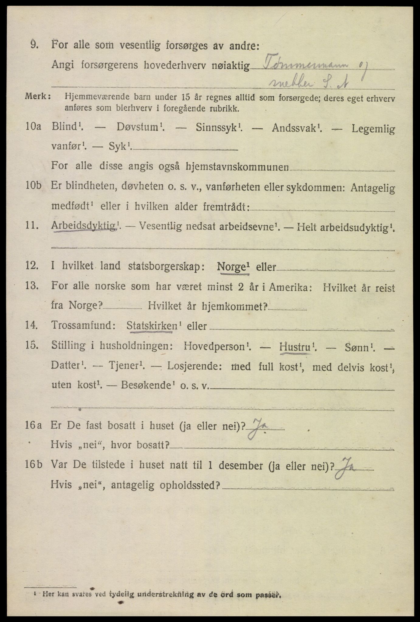 SAK, 1920 census for Hornnes, 1920, p. 2866