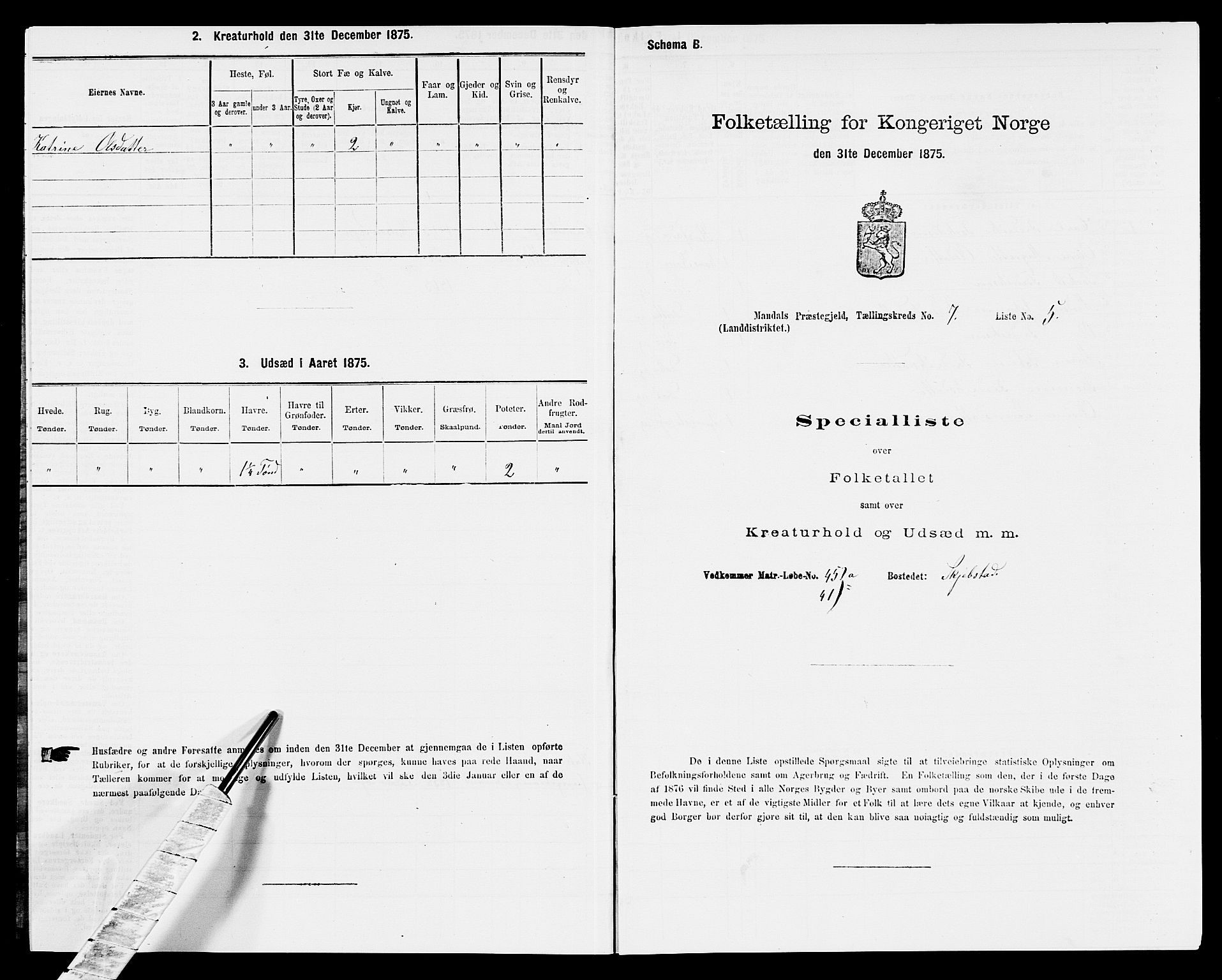 SAK, 1875 census for 1019L Mandal/Halse og Harkmark, 1875, p. 1022