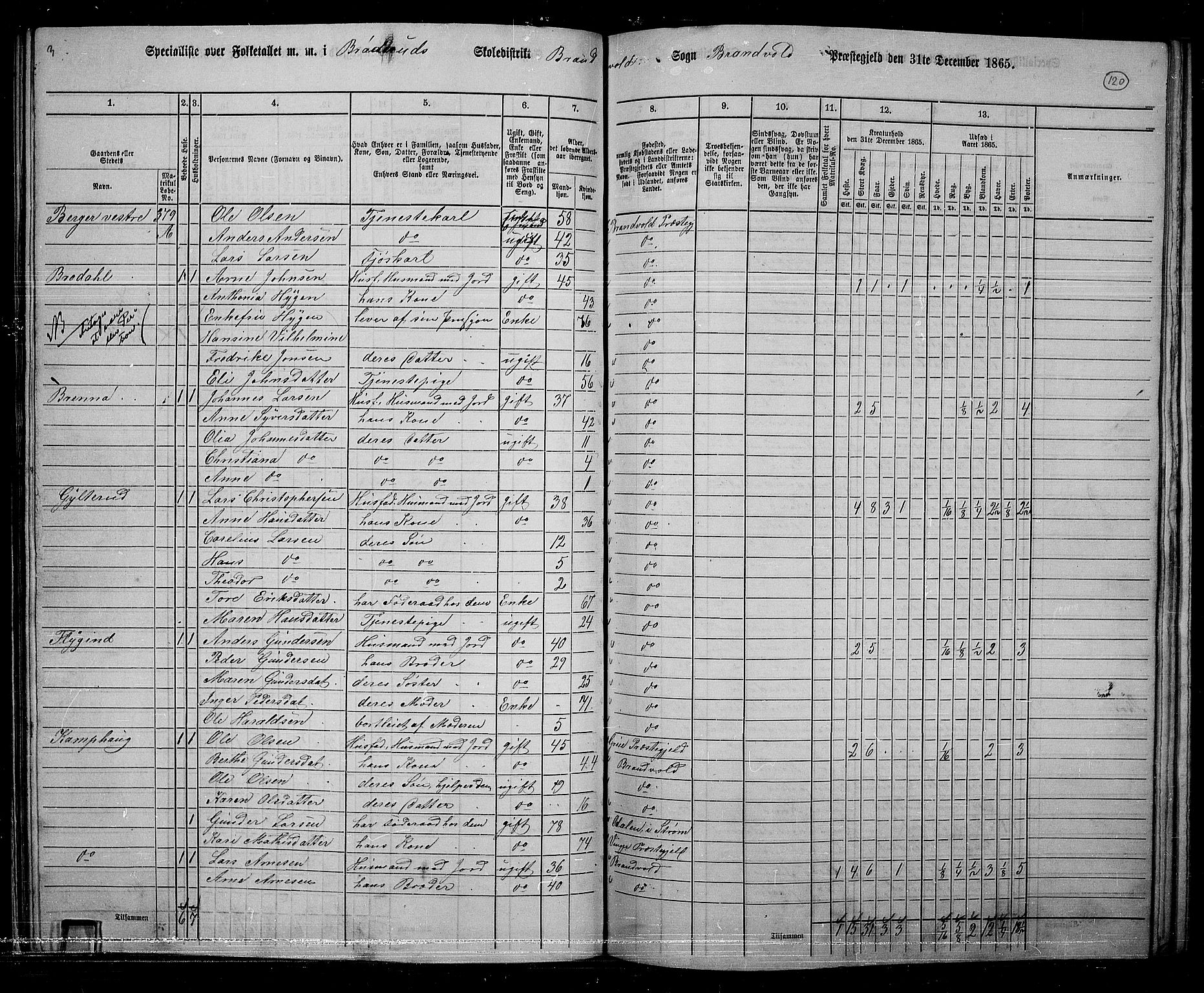 RA, 1865 census for Brandval, 1865, p. 101