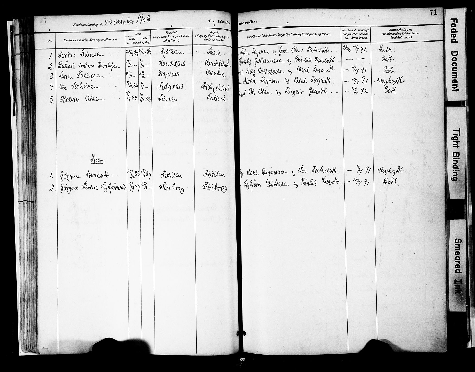 Sirdal sokneprestkontor, SAK/1111-0036/F/Fa/Faa/L0001: Parish register (official) no. A 1, 1887-1910, p. 71