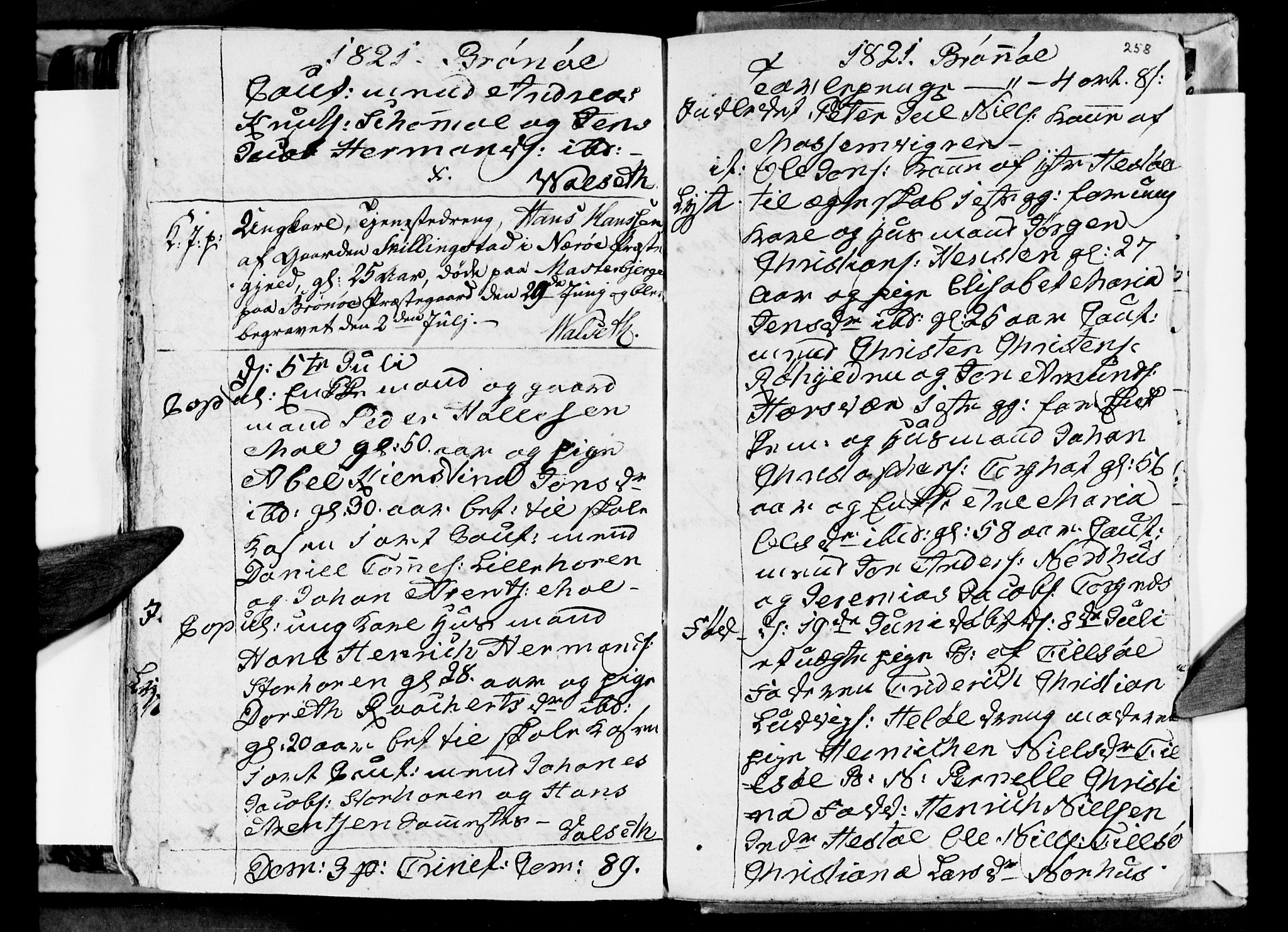 Ministerialprotokoller, klokkerbøker og fødselsregistre - Nordland, AV/SAT-A-1459/813/L0209: Parish register (copy) no. 813C01, 1803-1821, p. 258