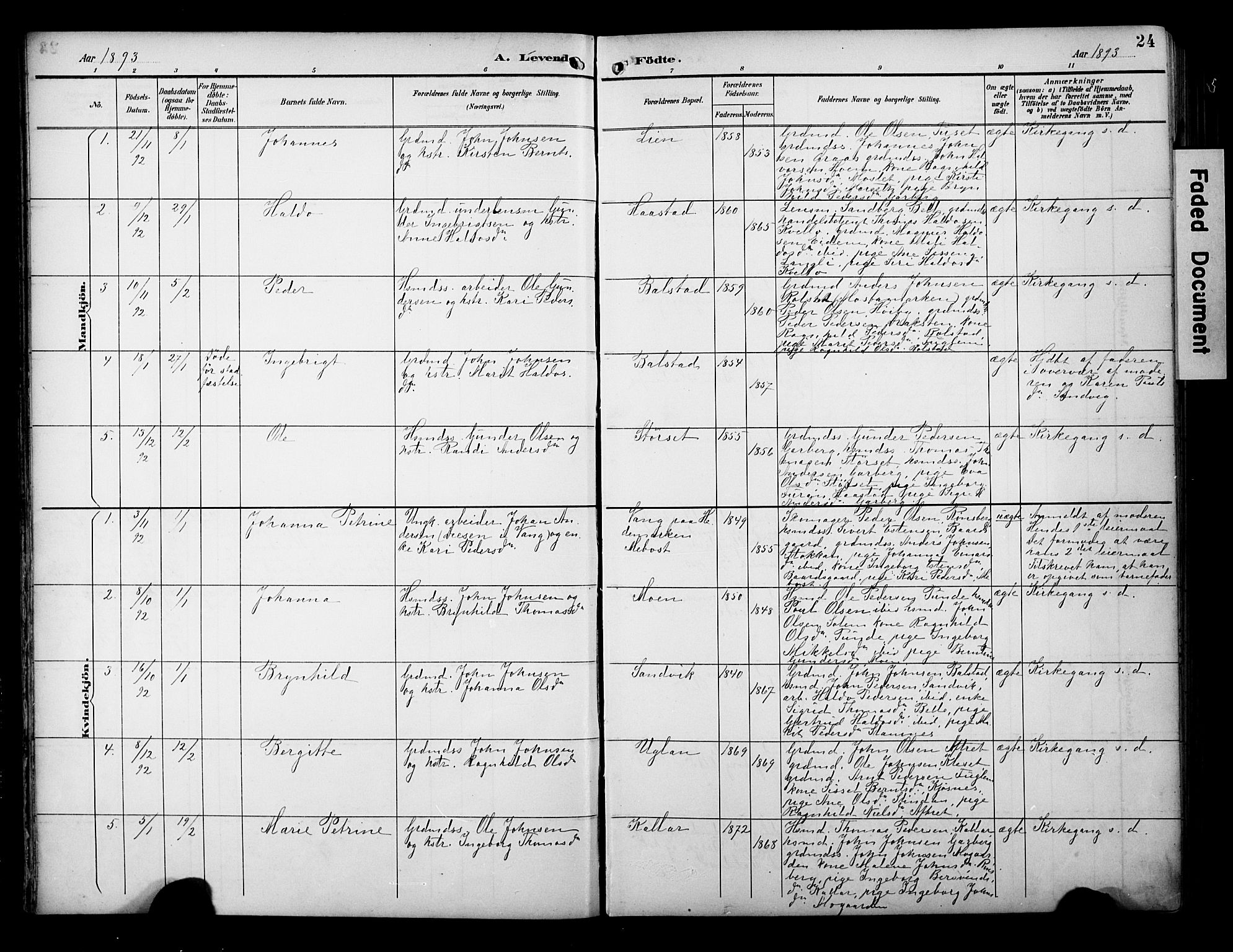 Ministerialprotokoller, klokkerbøker og fødselsregistre - Sør-Trøndelag, AV/SAT-A-1456/695/L1149: Parish register (official) no. 695A09, 1891-1902, p. 24