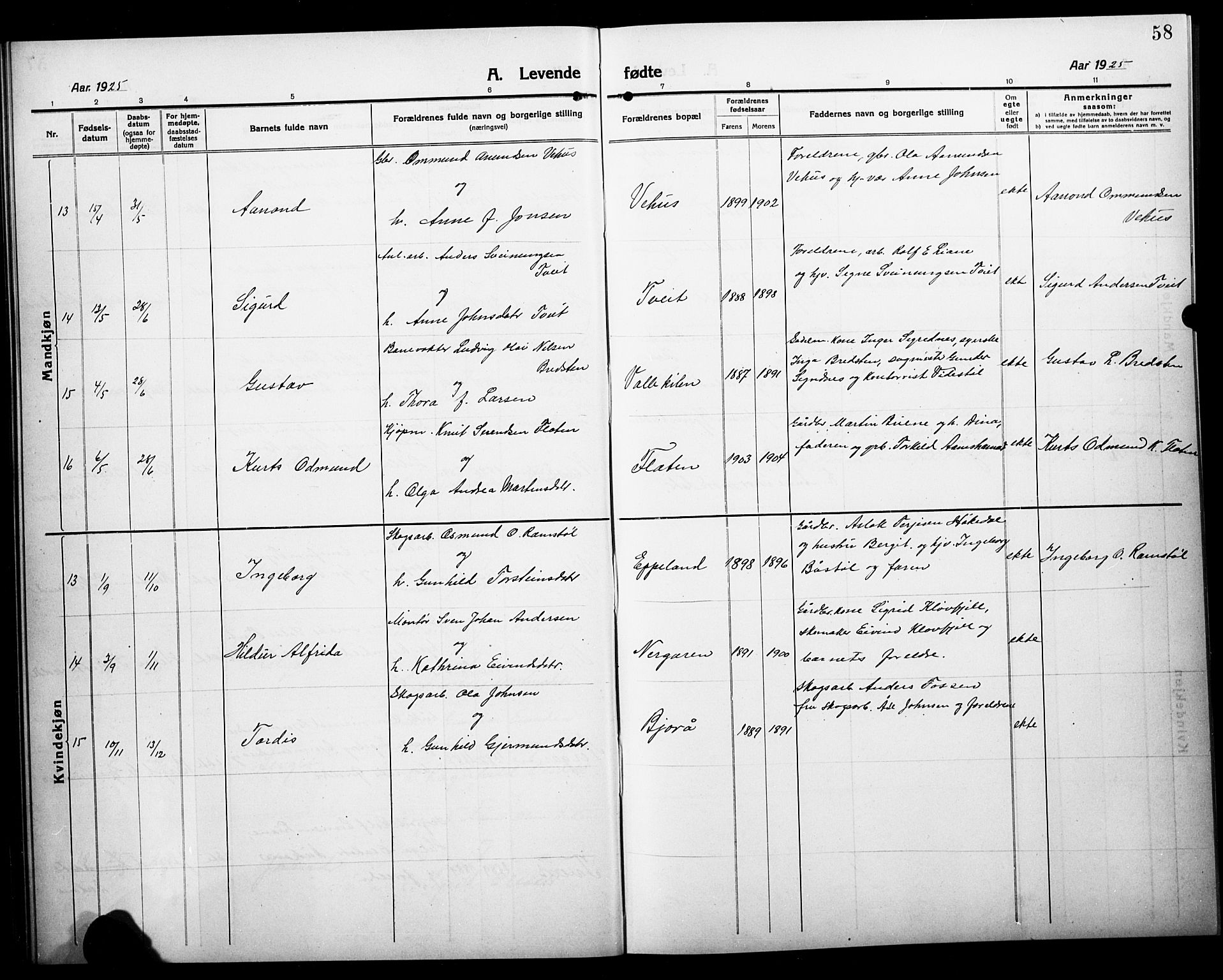 Åmli sokneprestkontor, AV/SAK-1111-0050/F/Fb/Fbc/L0006: Parish register (copy) no. B 6, 1915-1929, p. 58
