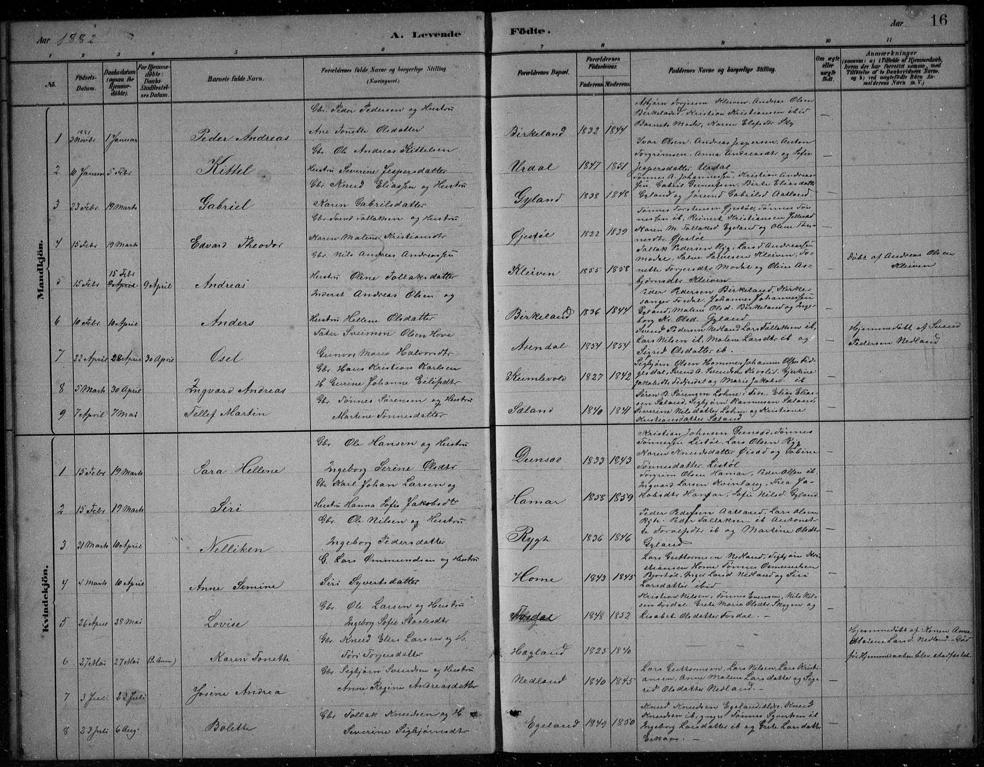 Bakke sokneprestkontor, AV/SAK-1111-0002/F/Fb/Fbb/L0003: Parish register (copy) no. B 3, 1878-1896, p. 16