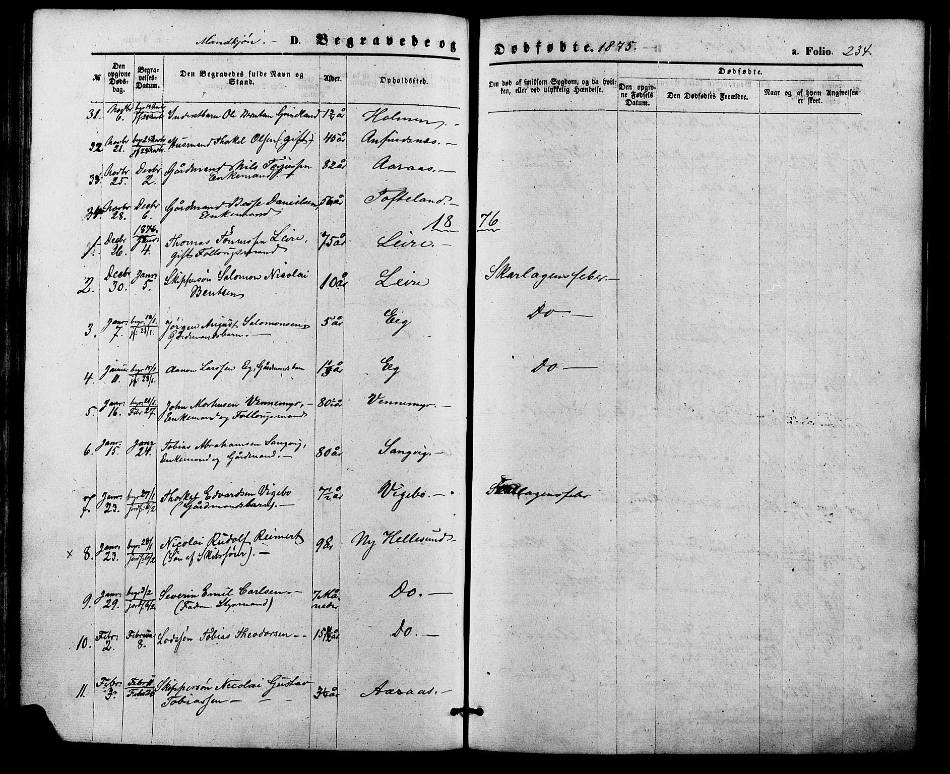 Søgne sokneprestkontor, SAK/1111-0037/F/Fa/Fab/L0011: Parish register (official) no. A 11, 1869-1879, p. 234