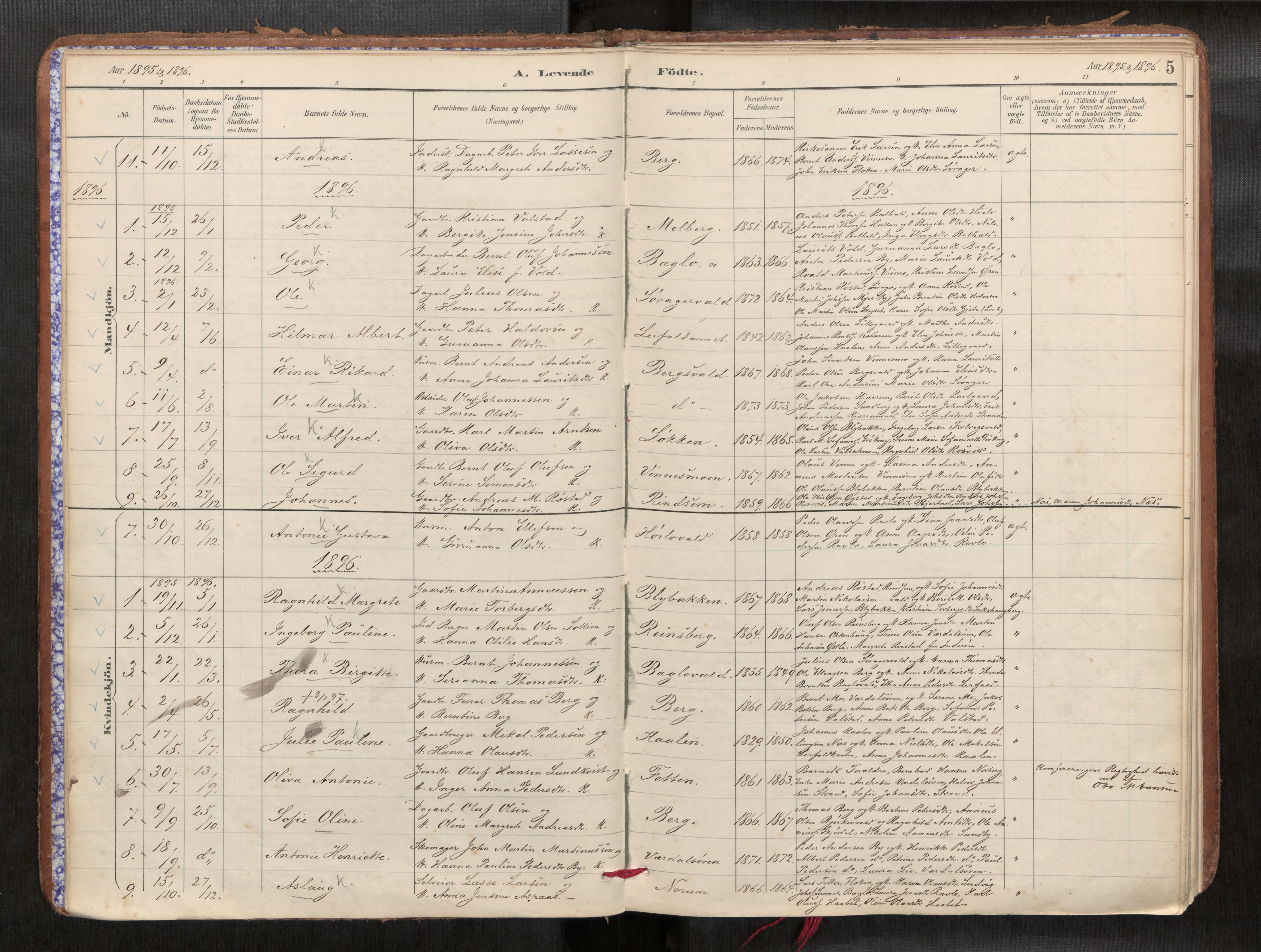 Verdal sokneprestkontor, SAT/A-1156/2/H/Haa/L0002: Parish register (official) no. 2, 1891-1907, p. 5