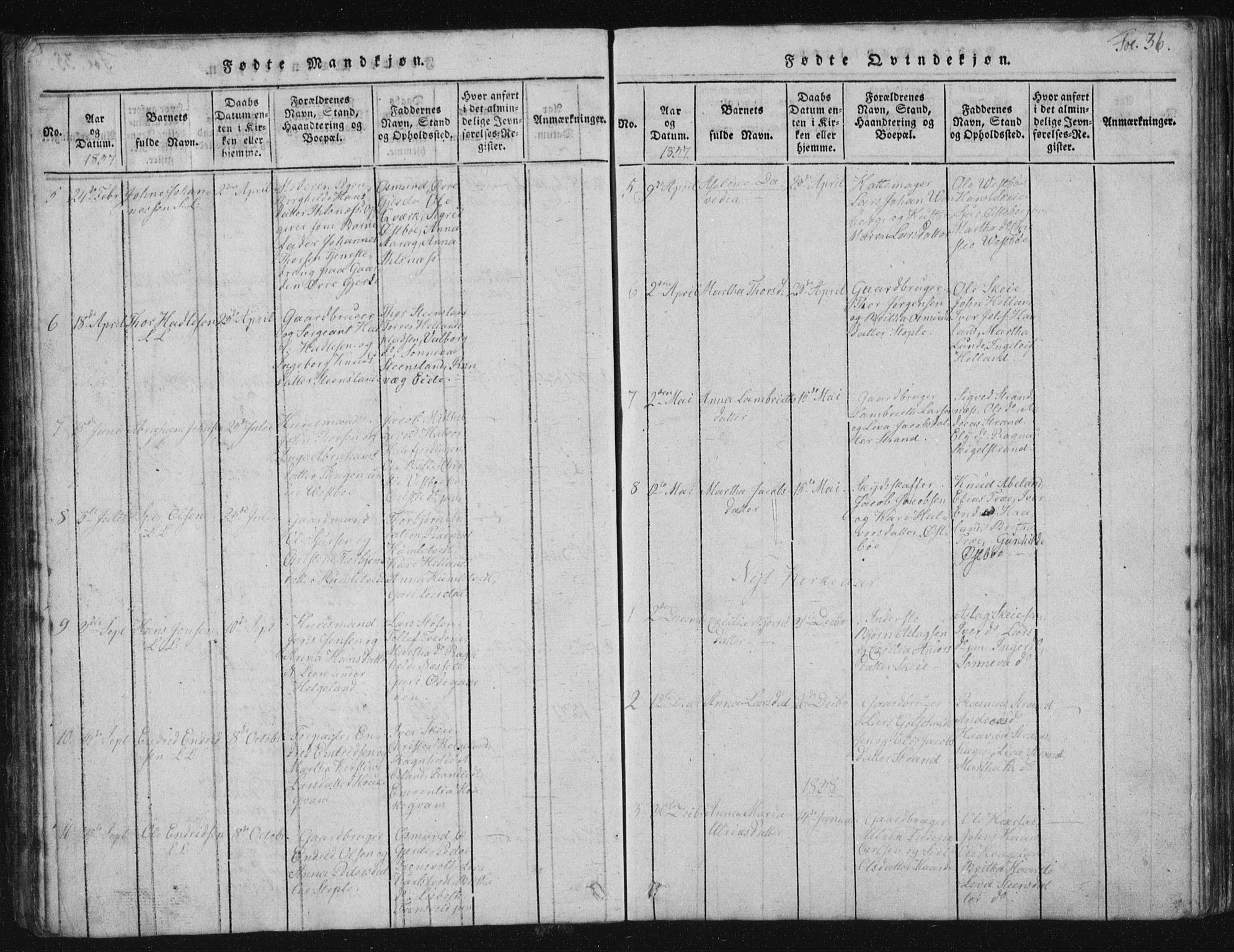 Vikedal sokneprestkontor, SAST/A-101840/01/V: Parish register (copy) no. B 2, 1816-1863, p. 36