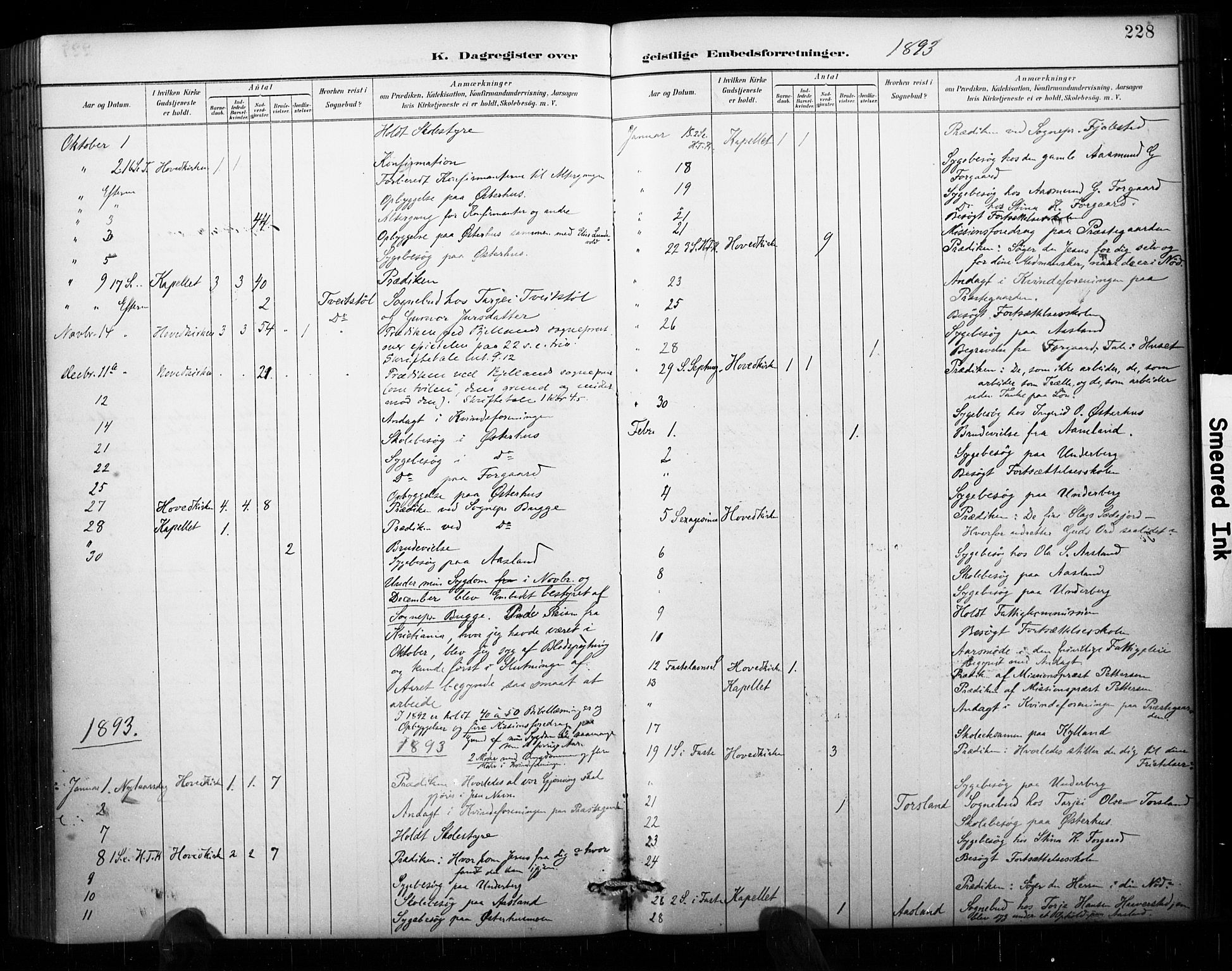 Åseral sokneprestkontor, AV/SAK-1111-0051/F/Fa/L0003: Parish register (official) no. A 3, 1884-1901, p. 228