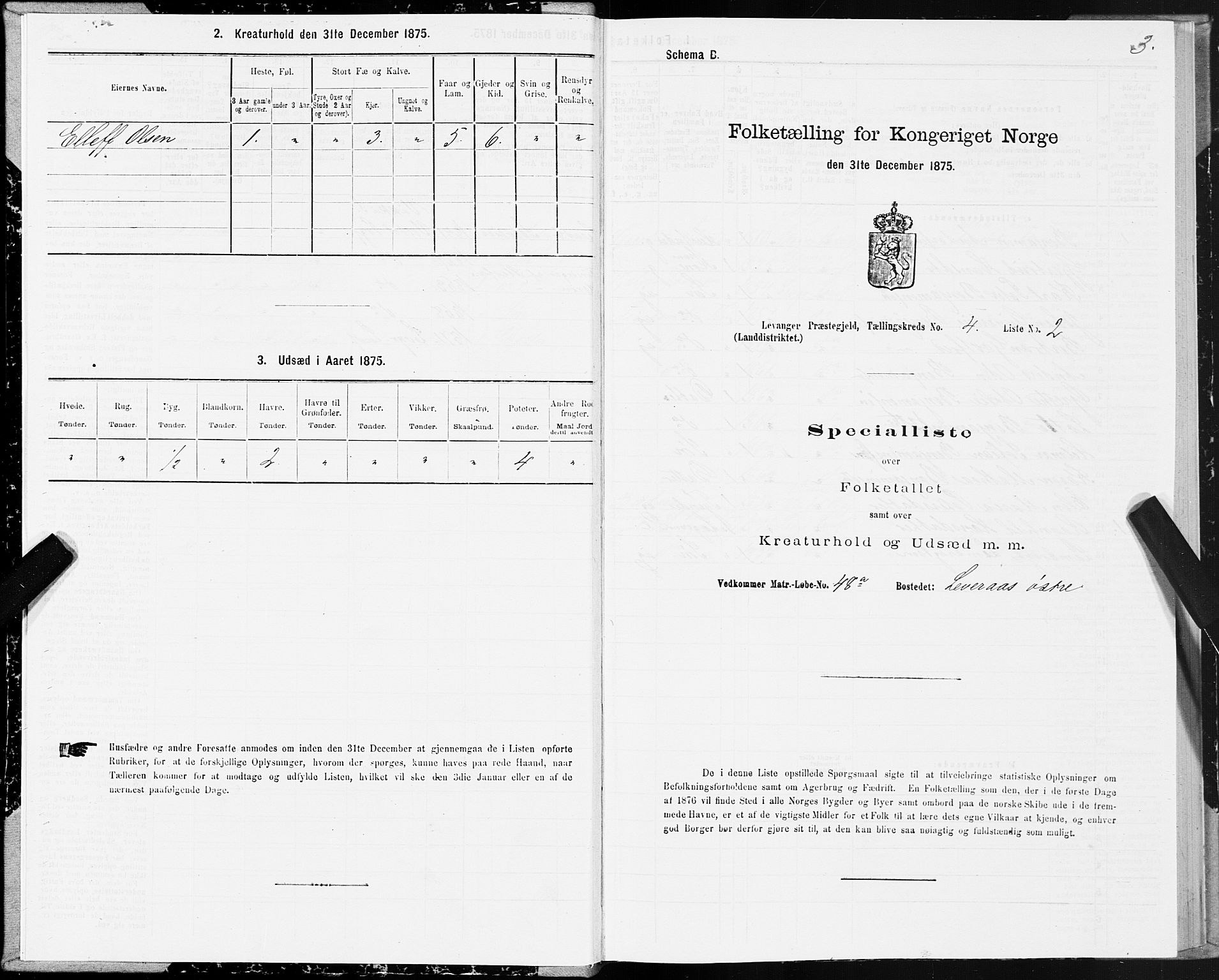 SAT, 1875 census for 1720L Levanger/Levanger, 1875, p. 3003