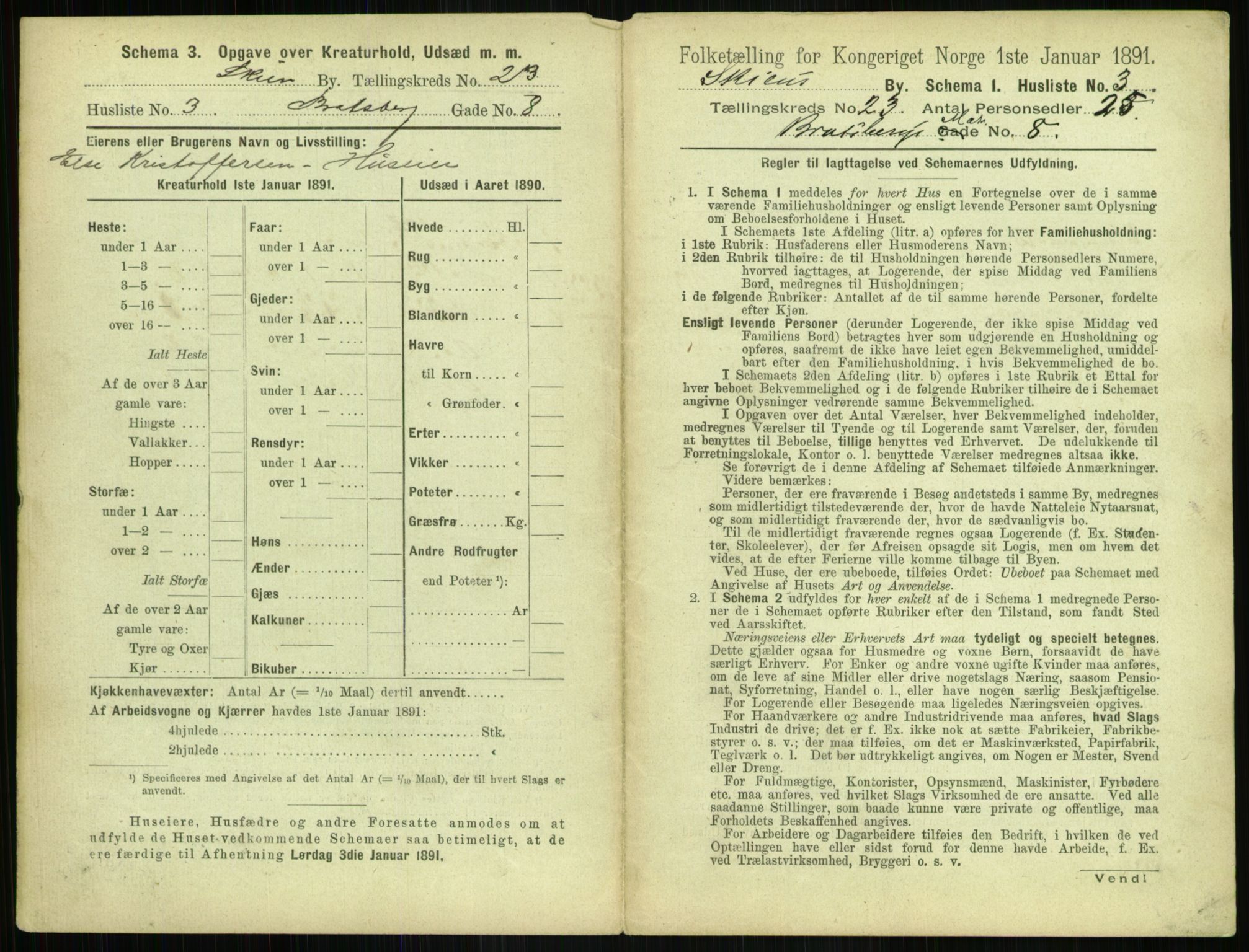 RA, 1891 census for 0806 Skien, 1891, p. 884