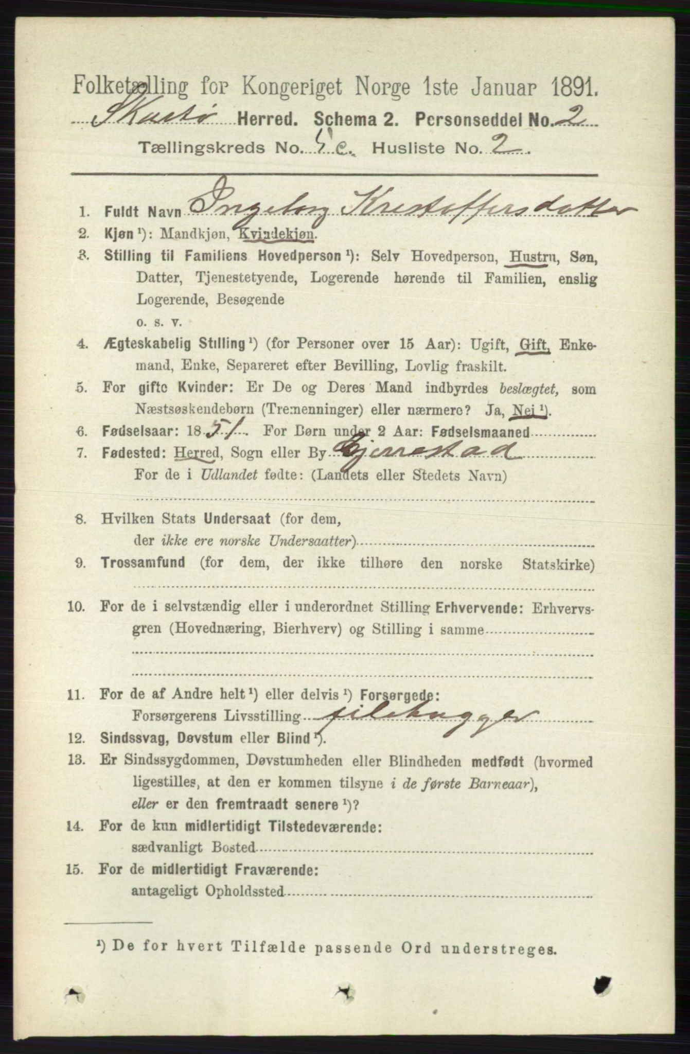 RA, 1891 census for 0815 Skåtøy, 1891, p. 2680