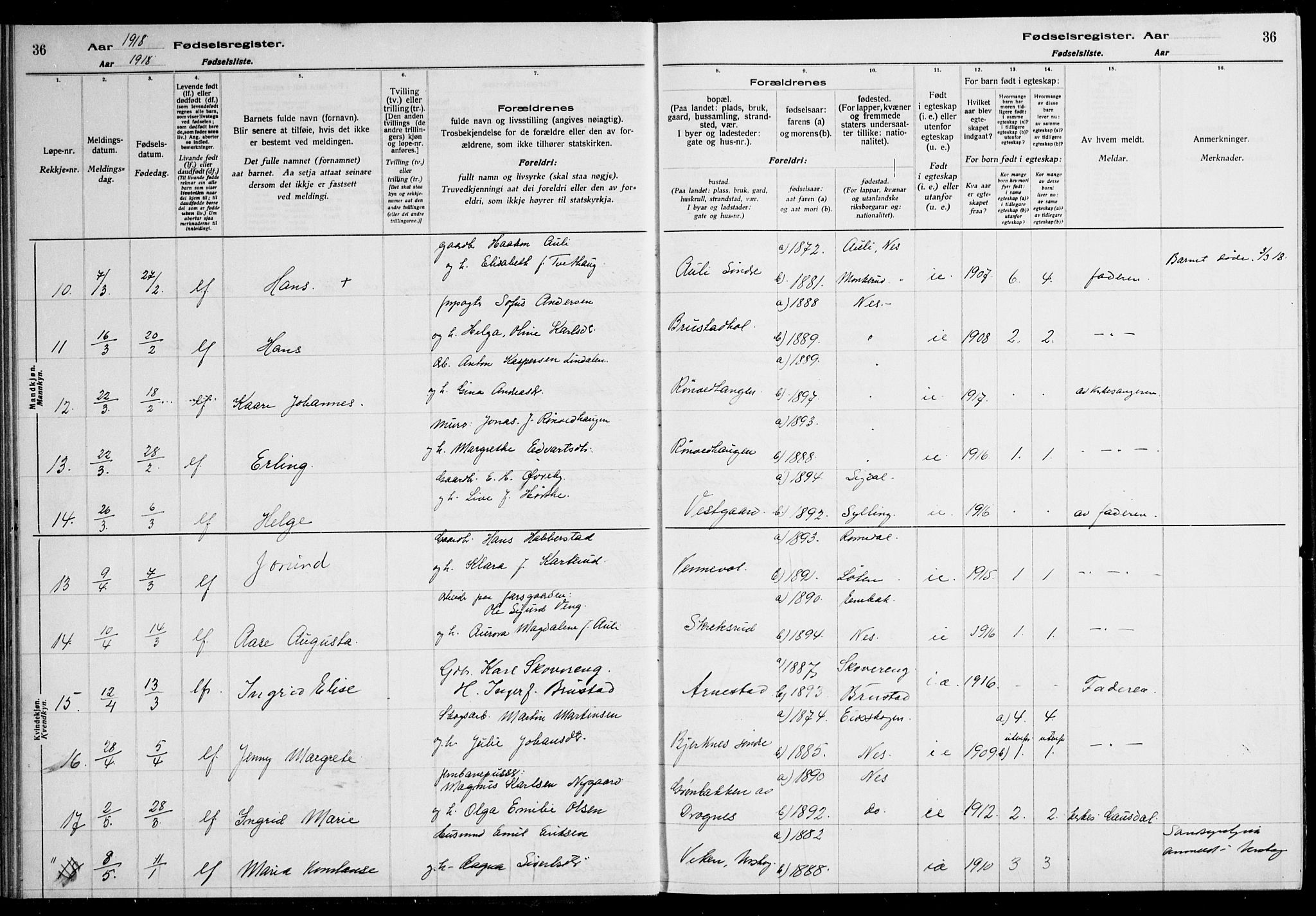 Nes prestekontor Kirkebøker, AV/SAO-A-10410/J/Ja/L0001: Birth register no. 1, 1916-1926, p. 36